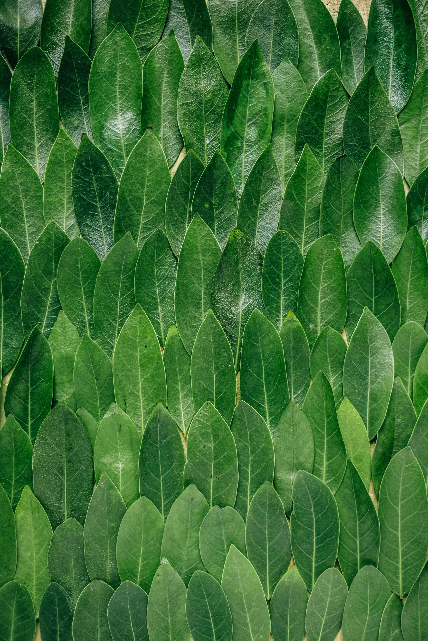 Dayforce acquires Eloomi