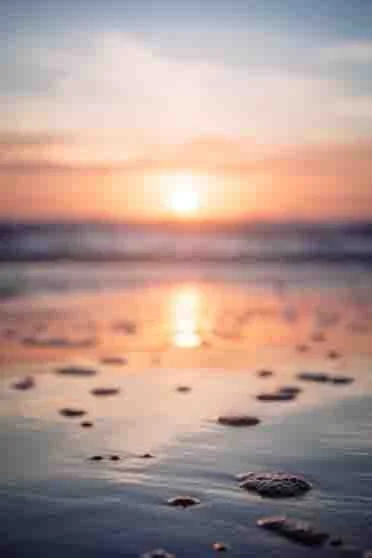 0018 The Spiritual Sandbox - The Love Within Addictions