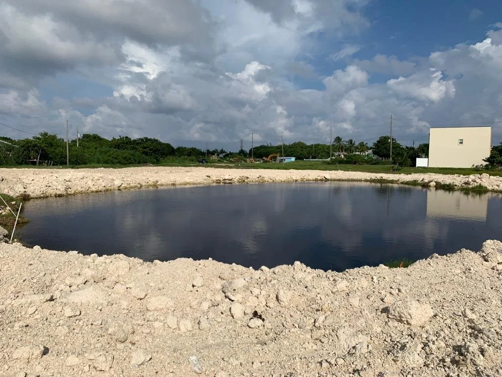 Site Progress - We have a lake!