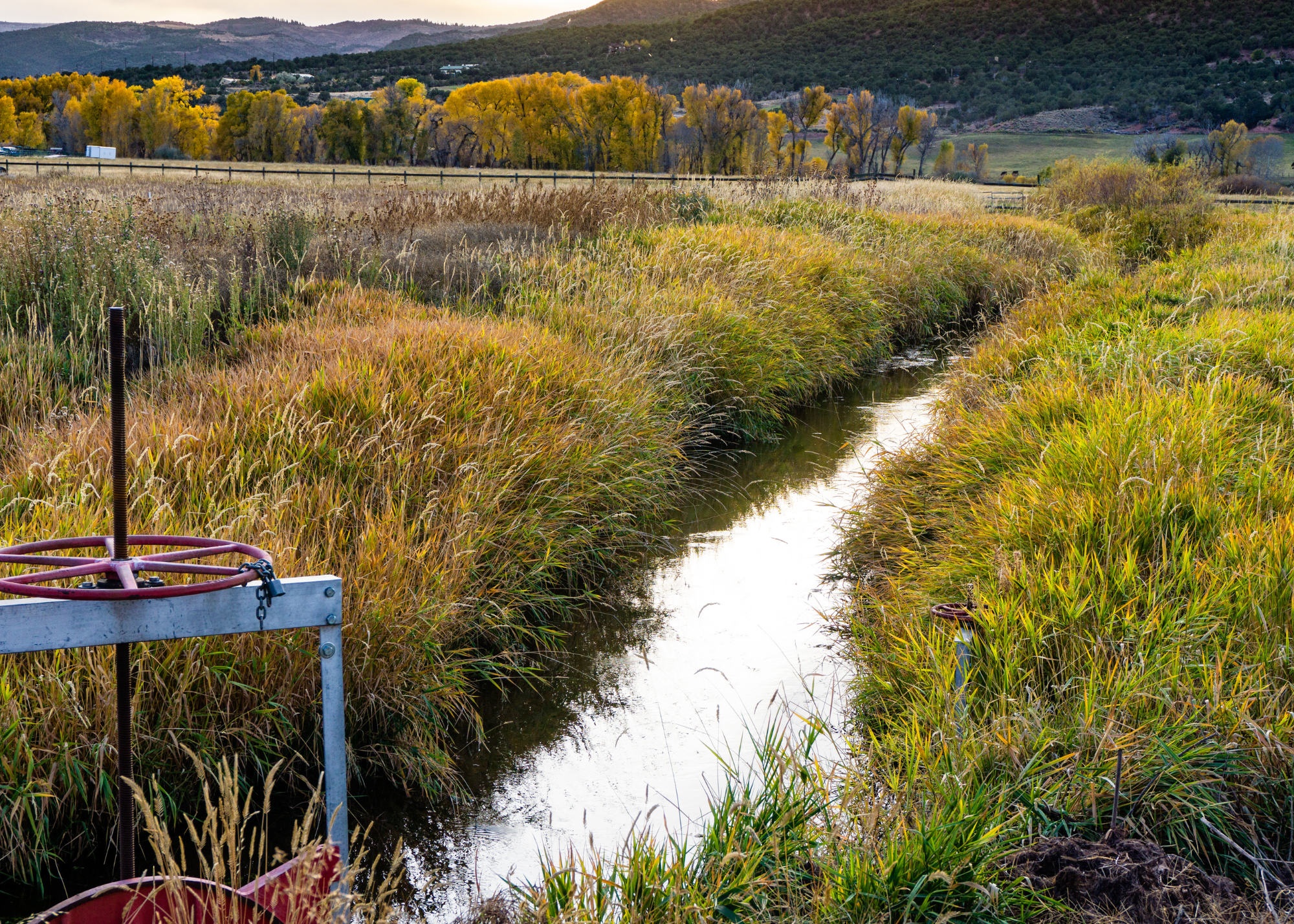 Absolute v. Conditional Water Rights