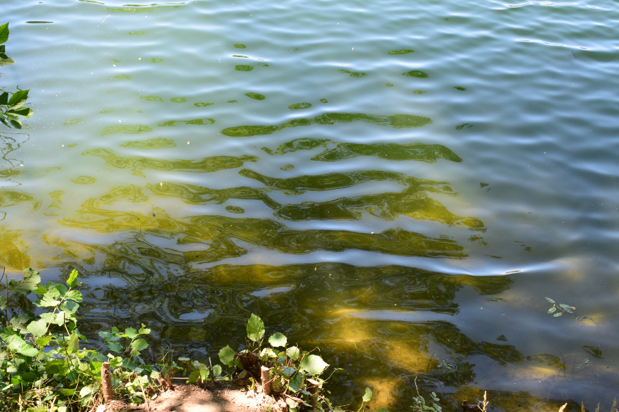 Water Rights Resources — Nazarenus Stack & Wombacher LLC