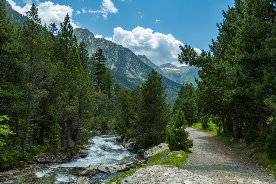 Water Rights Resources — Nazarenus Stack & Wombacher LLC — Nazarenus ...