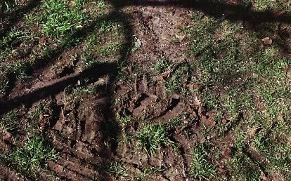 img141.jpg