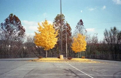 img20180413_12022933.jpg