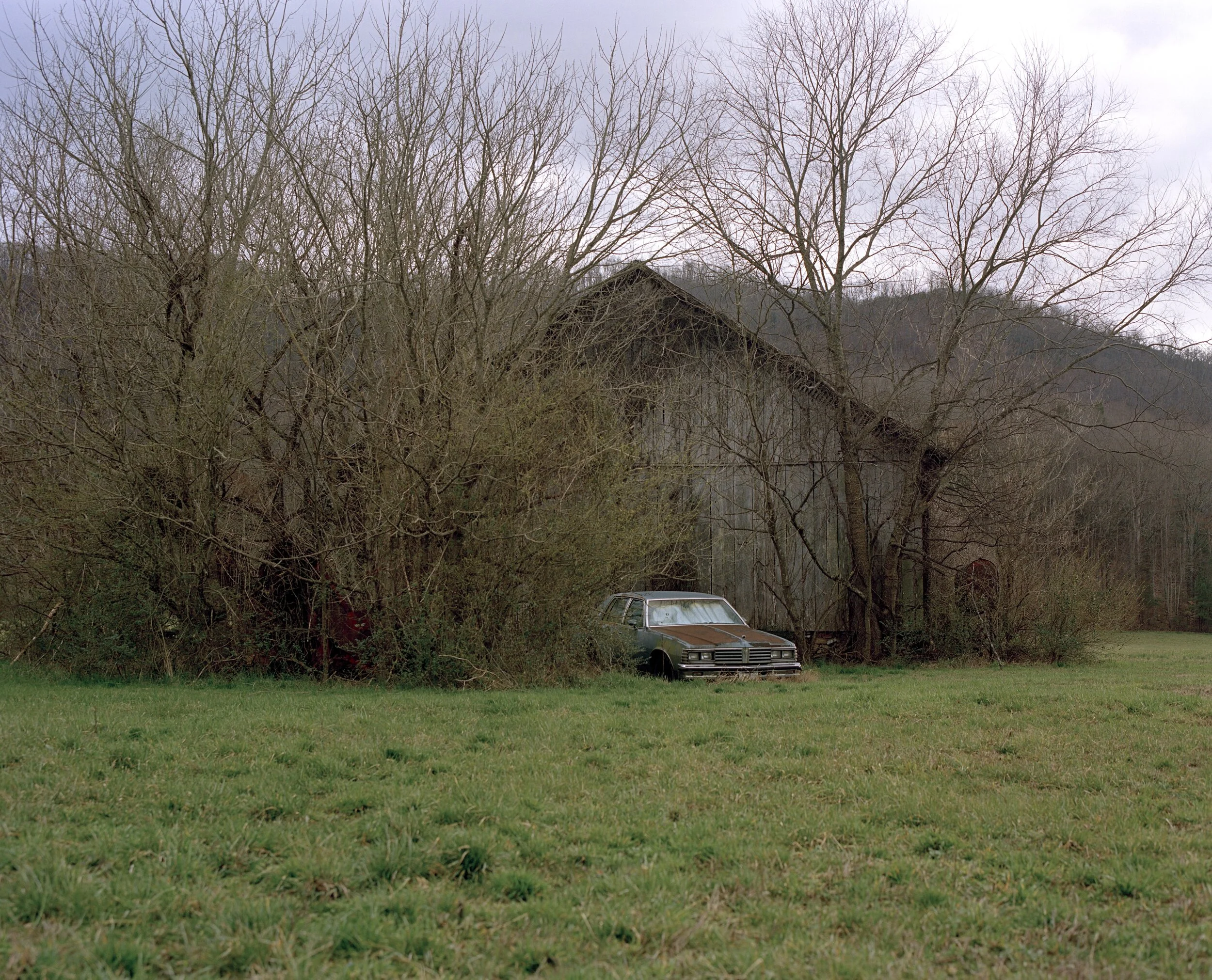 Untitled6.jpg