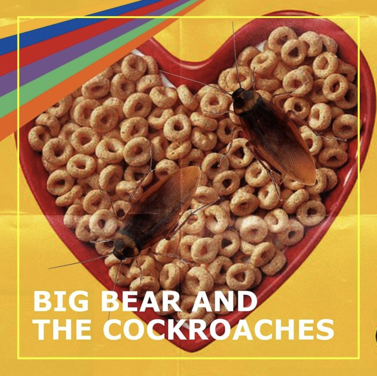 Big Bear and the Cockroaches