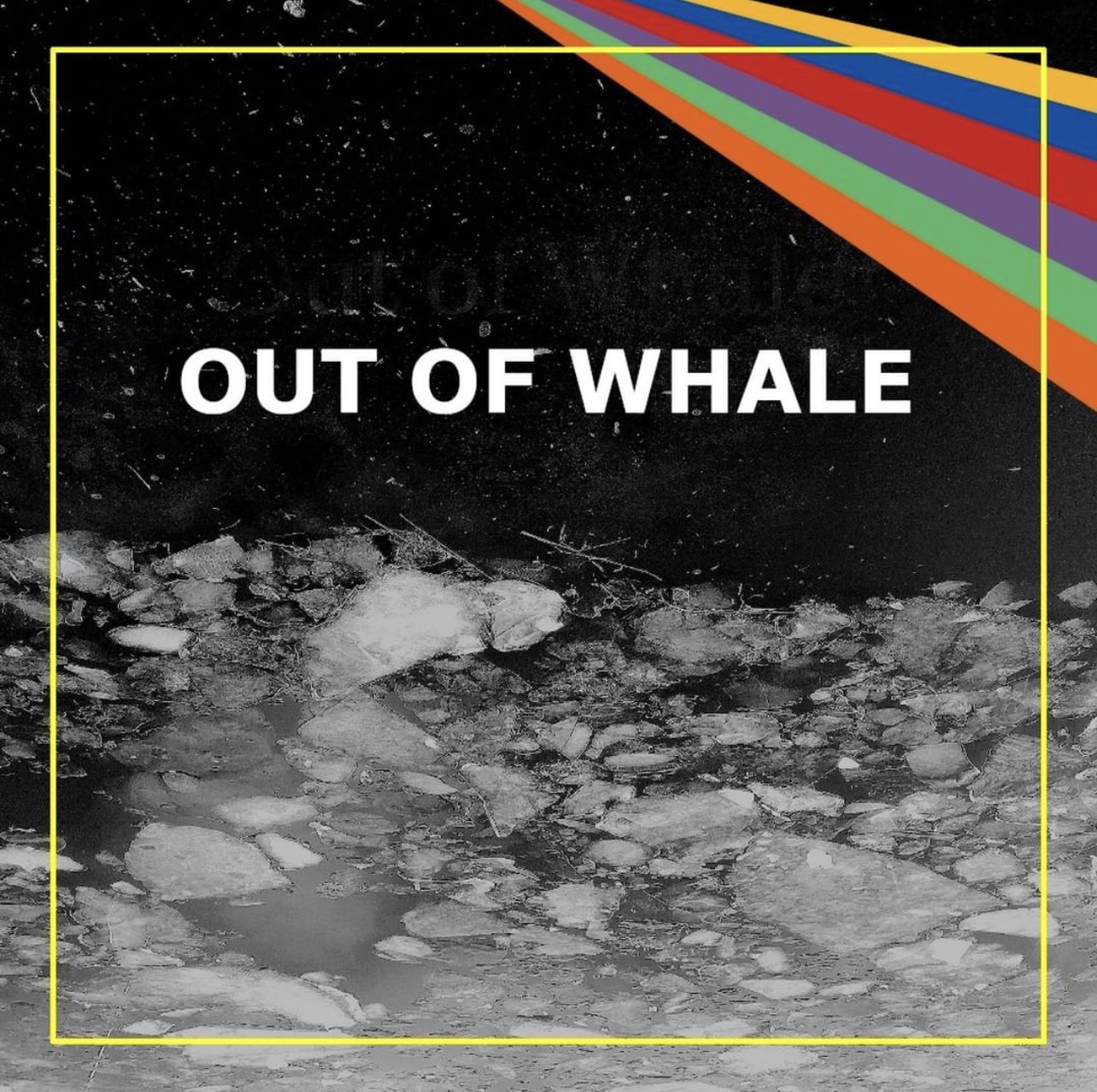 Out of Whale