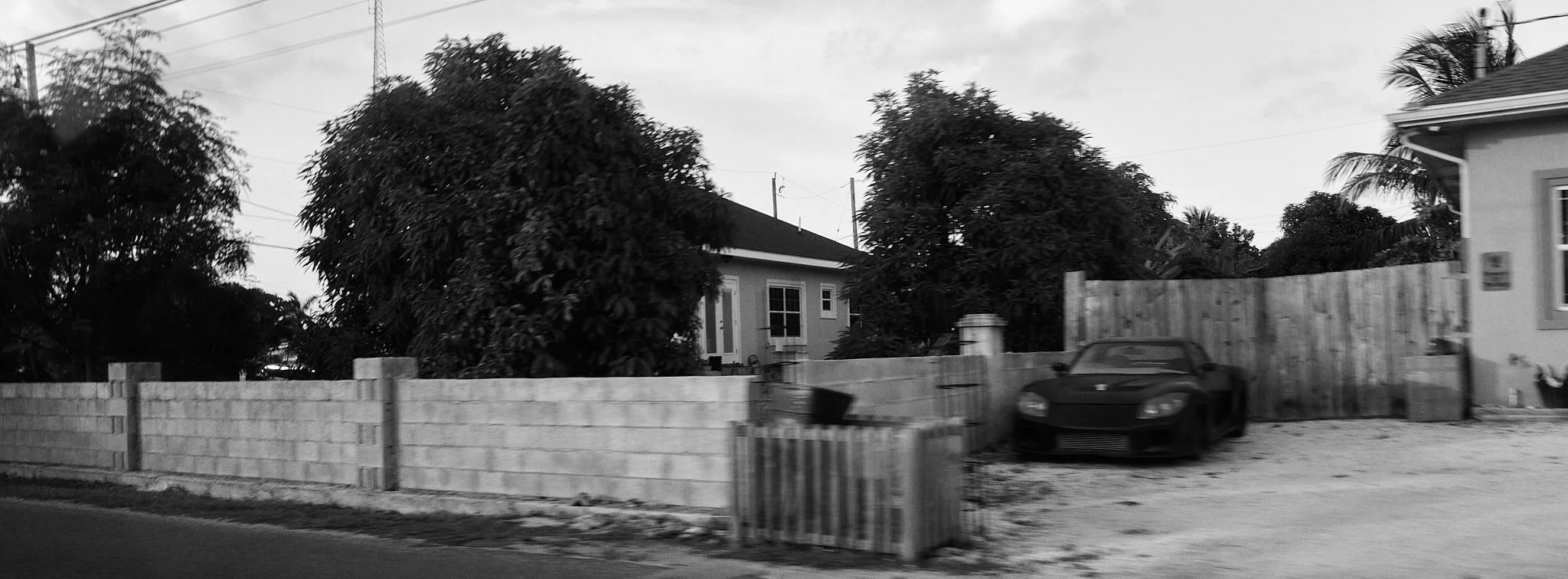 L1020743.jpg