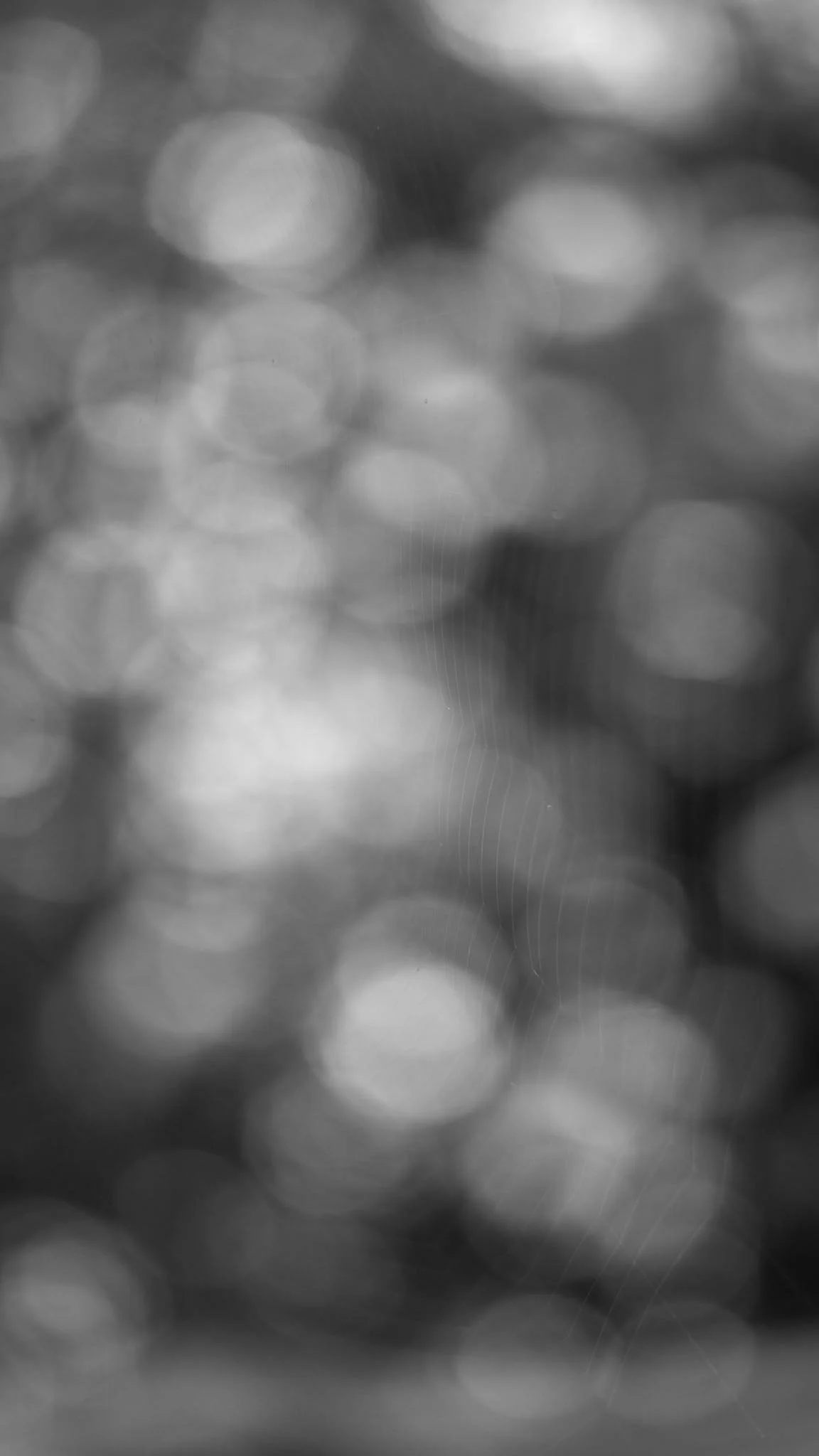 L1004808.jpg