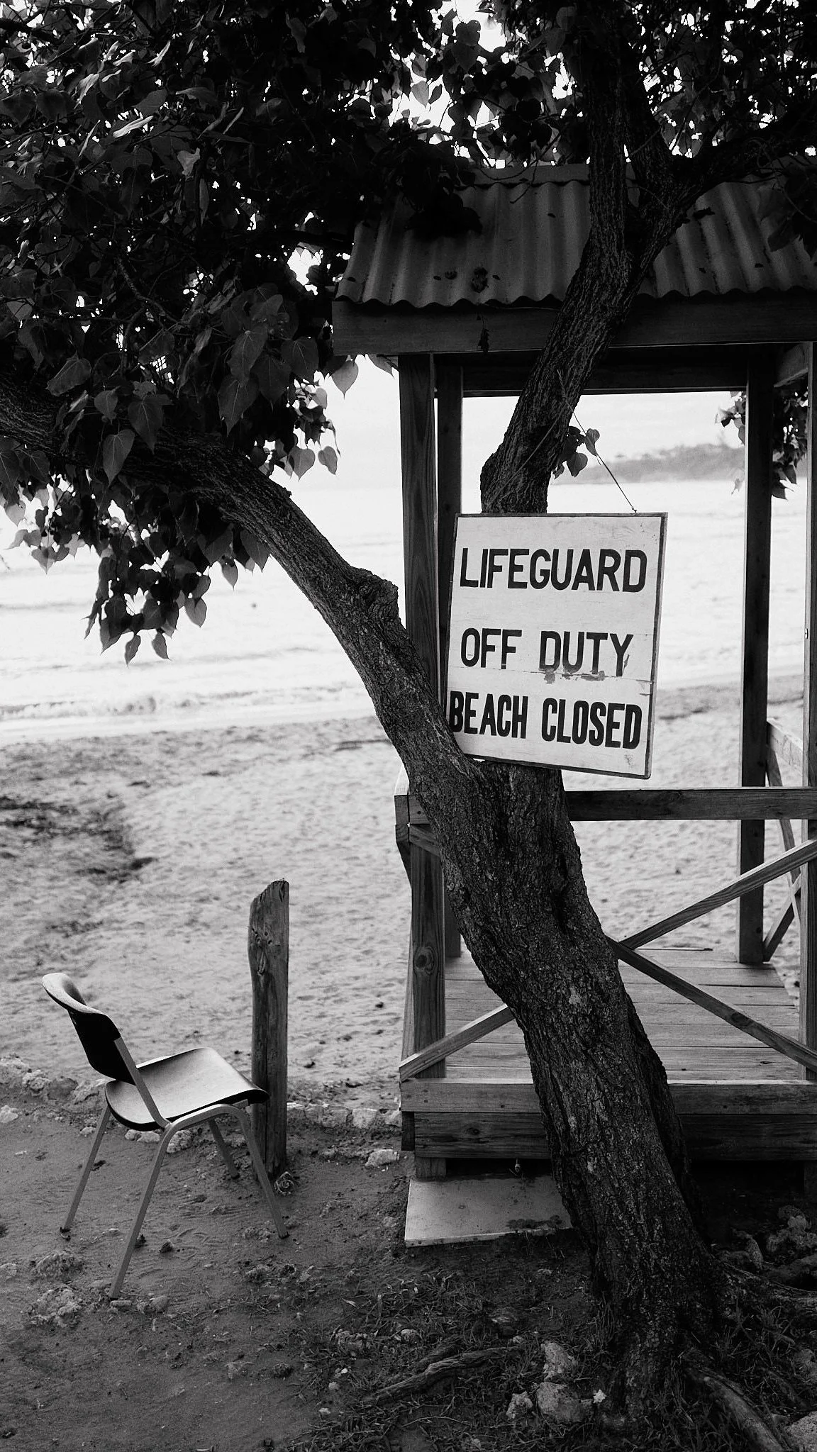 L1051385.jpg