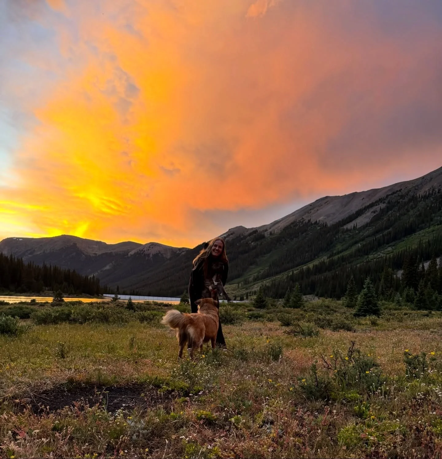I could fit one more camping trip in this year

#camping #colorado #backpacking #hiking