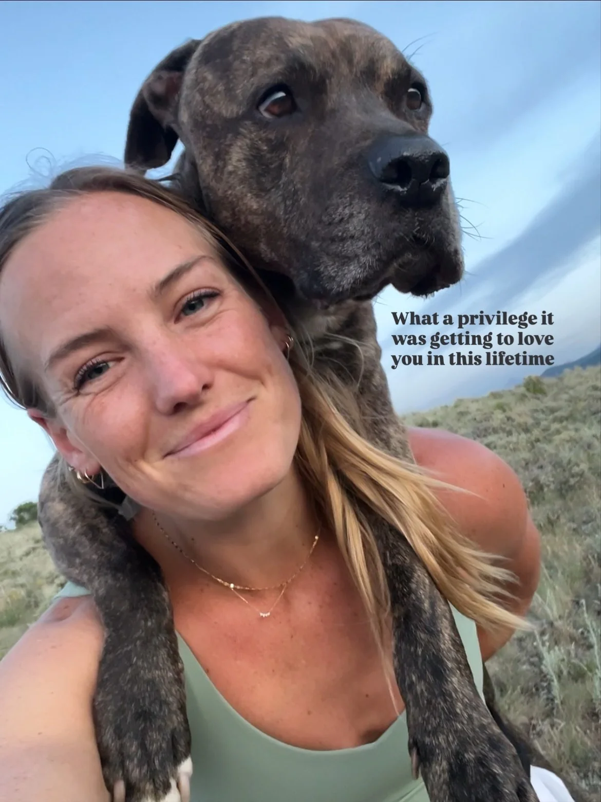 Yesterday morning I said goodbye to my sweet soul dog. 

Despite knowing that one day his cancer would win, losing him feels surreal and wrong. Words cannot express how special he was: to me, to Paul, to everyone he came in contact with. 

What a pri