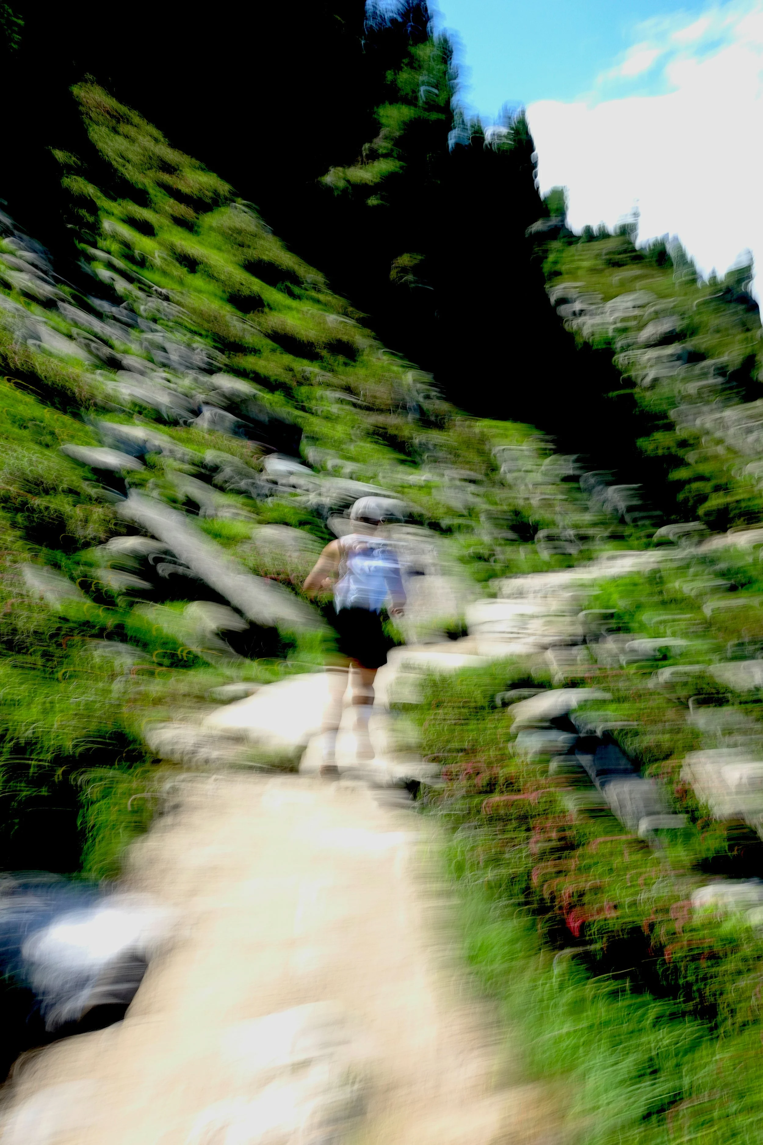 DSC01333 (1).jpg