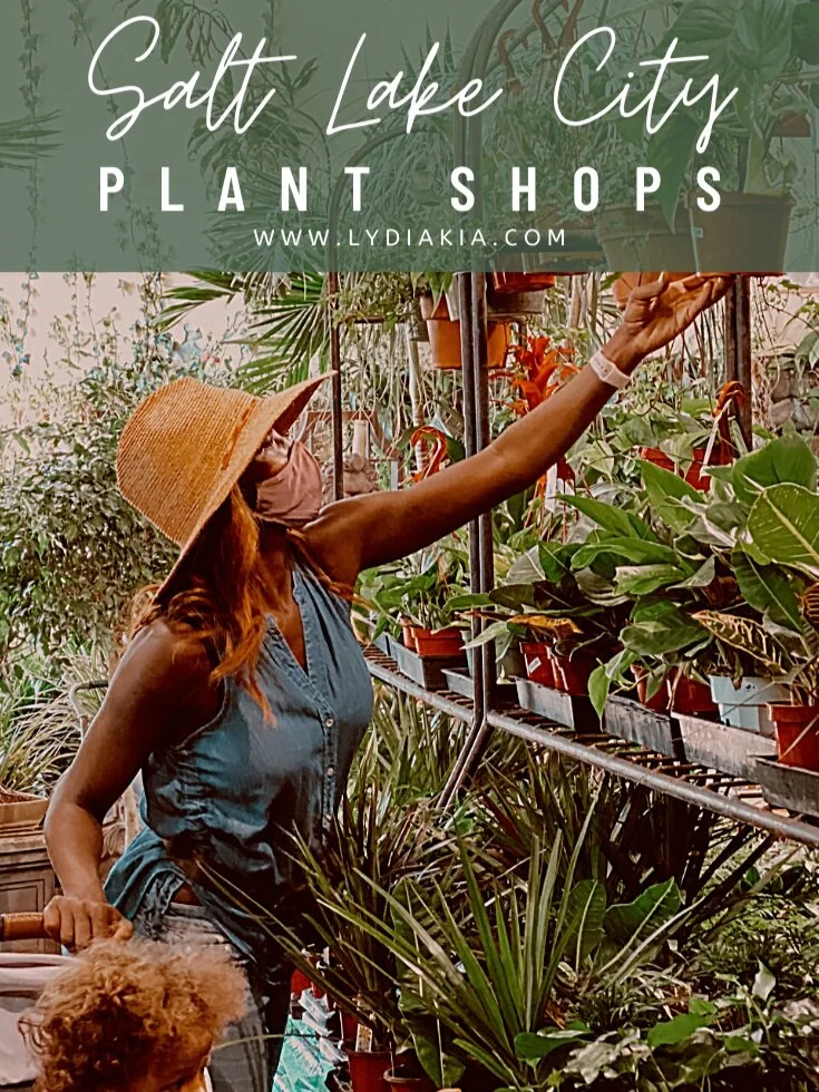 Salt Lake City Plant Shops