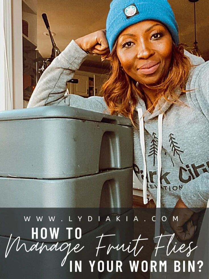 How To Manage Fruit Flies In Your Worm Bin