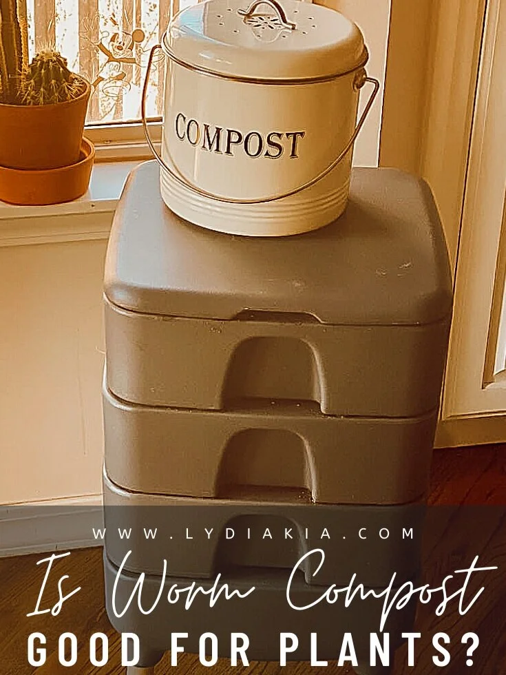 Is Worm Compost Good For Plants?