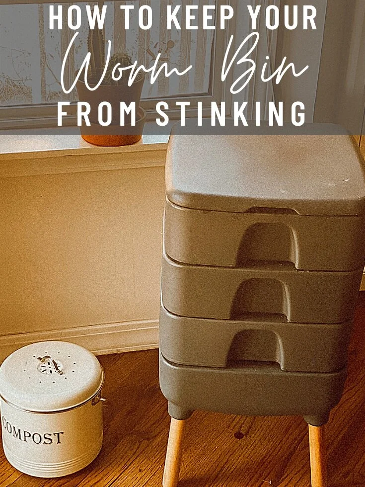 How To Keep Your Worm Bin From Stinking