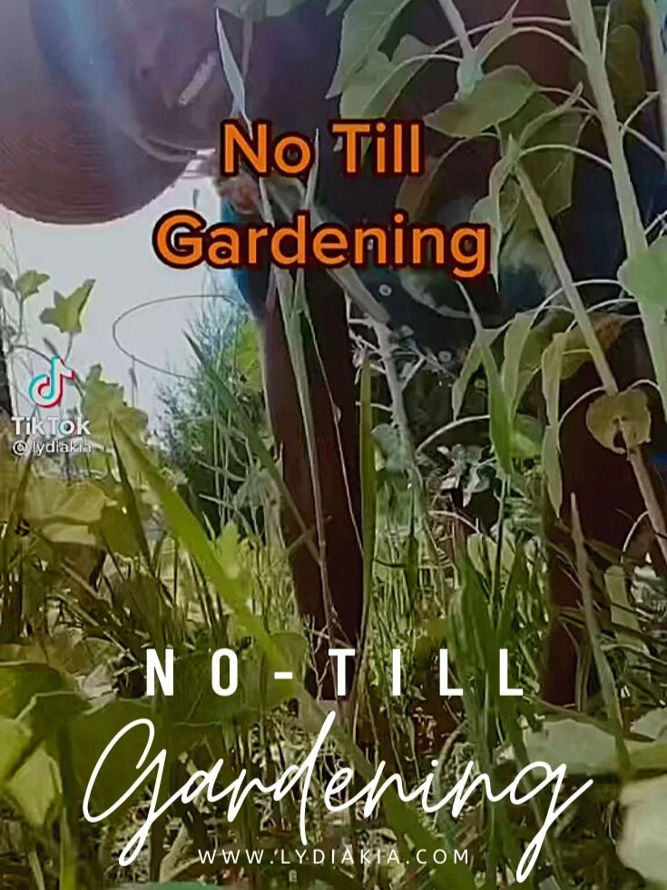 No-Till Gardening
