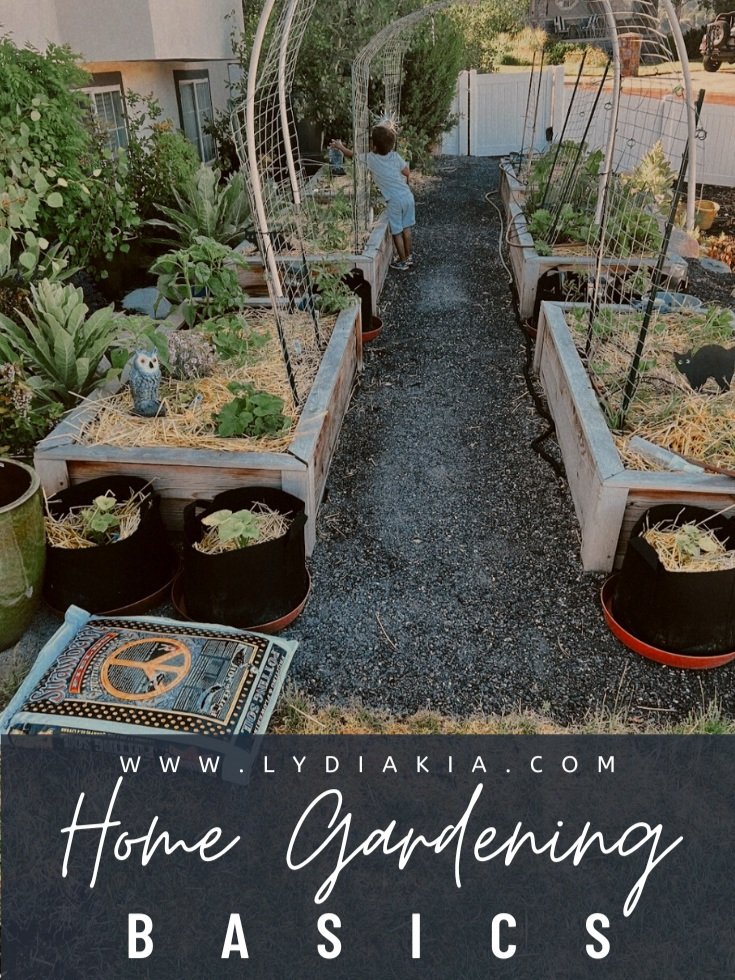 Home Gardening Basics