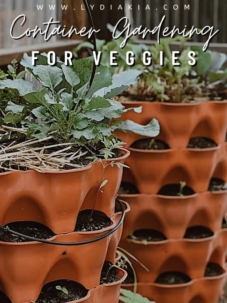 Container Gardening for Veggies