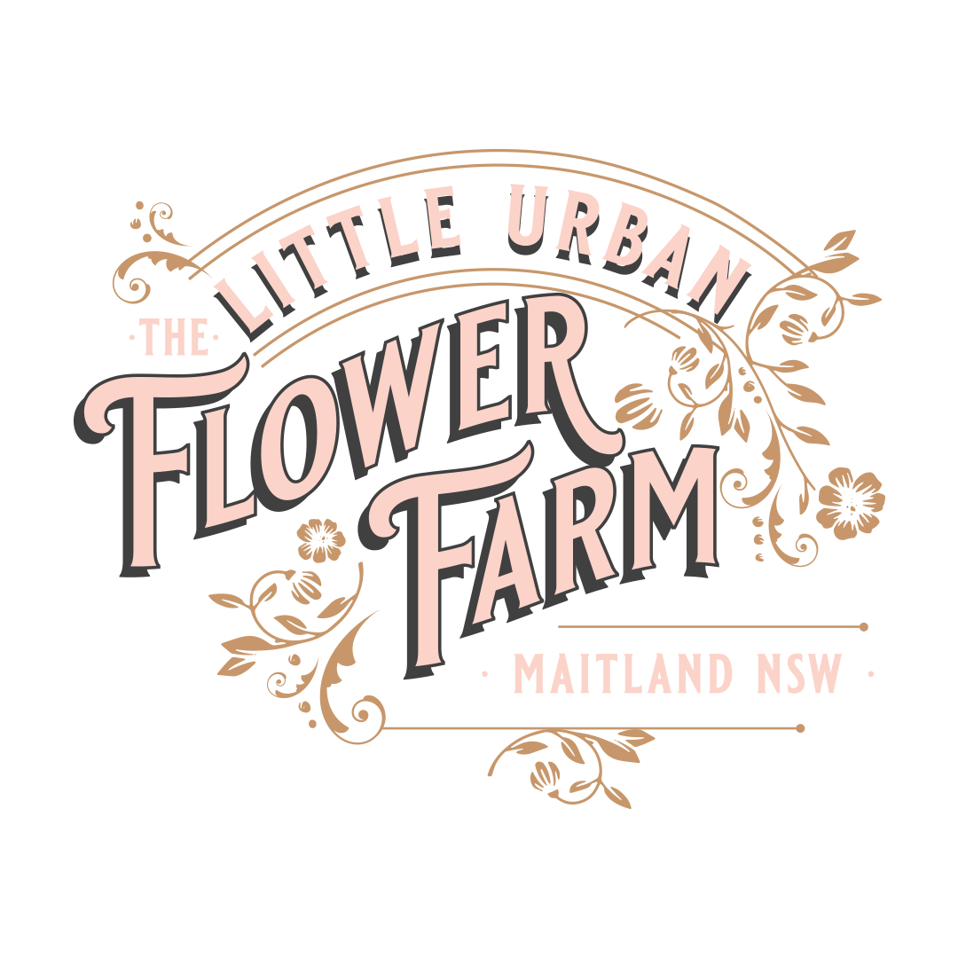 The Little Urban Flower Farm