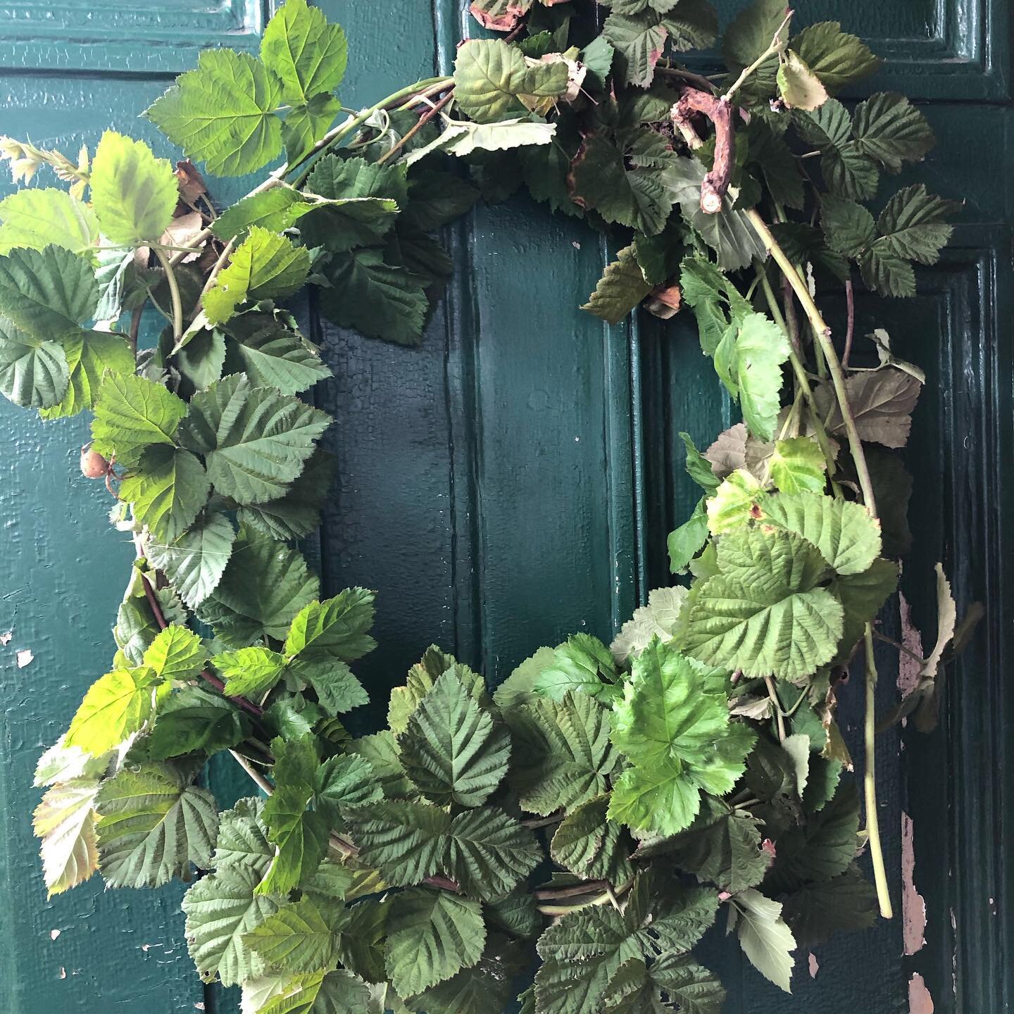 .
.
Raspberry vine taming this afternoon. Prunings were begging to woven into a quick, loose, wild wreath. Bonus accidental wildlife included.
.
.
Beautiful huge garden orb weaver now living on my front door. Sorry for moving you lovely one.
.
.
Even