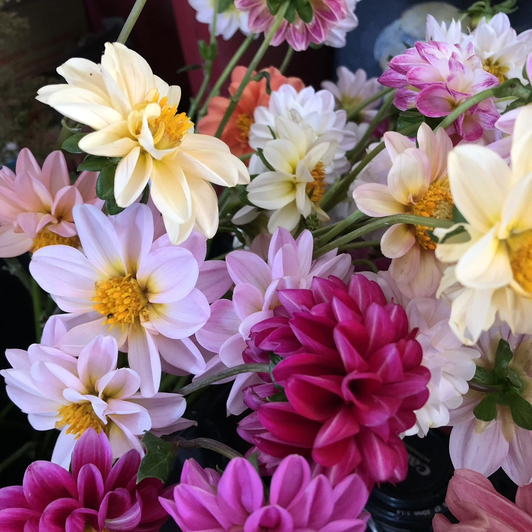 You don’t need a big garden, hours of time or a floaty linen dress to be a flower grower