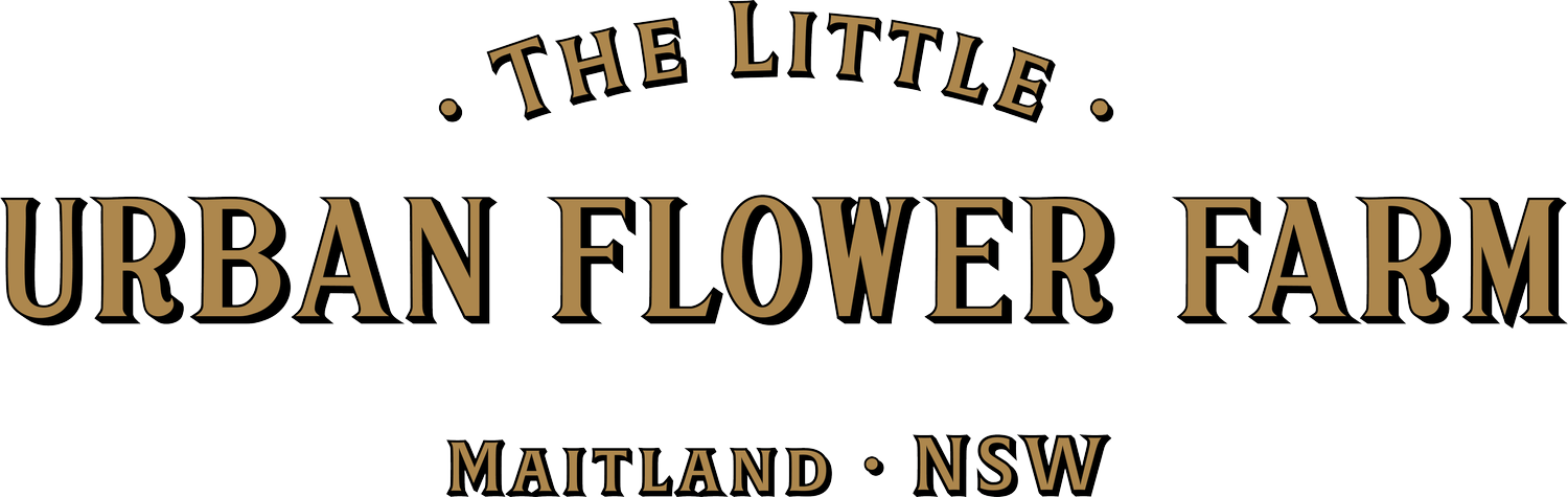 The Little Urban Flower Farm