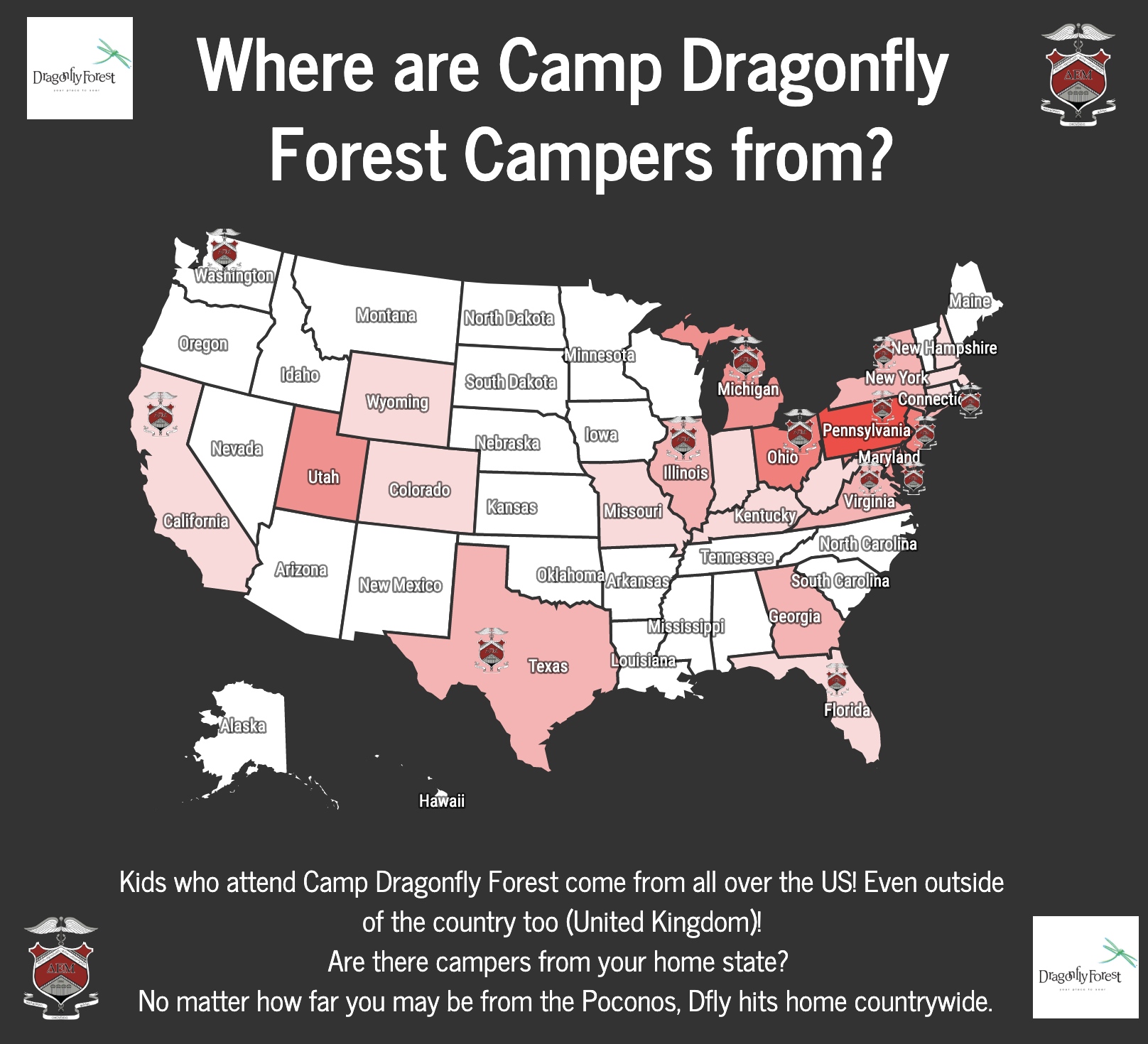 Reminding us of Camp Dragonfly Forest