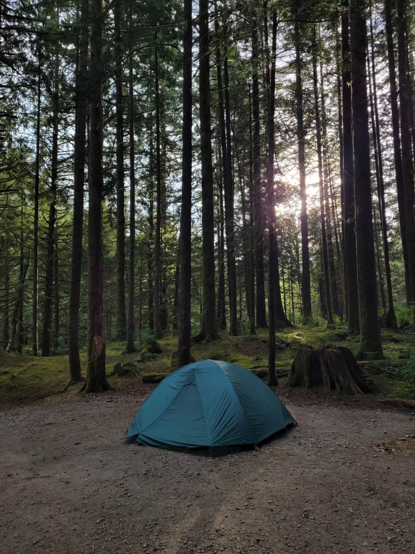 My favourite kind of weekend 🥰

Our most recent discoveries: 
&bull; Roasted Marshmallows on homemade banana bread is 🔥
&bull; Black-headed Grosbeaks are beautiful 
&bull; Nature is still, as always, incredible
&bull; Writing my MOH speech for my b