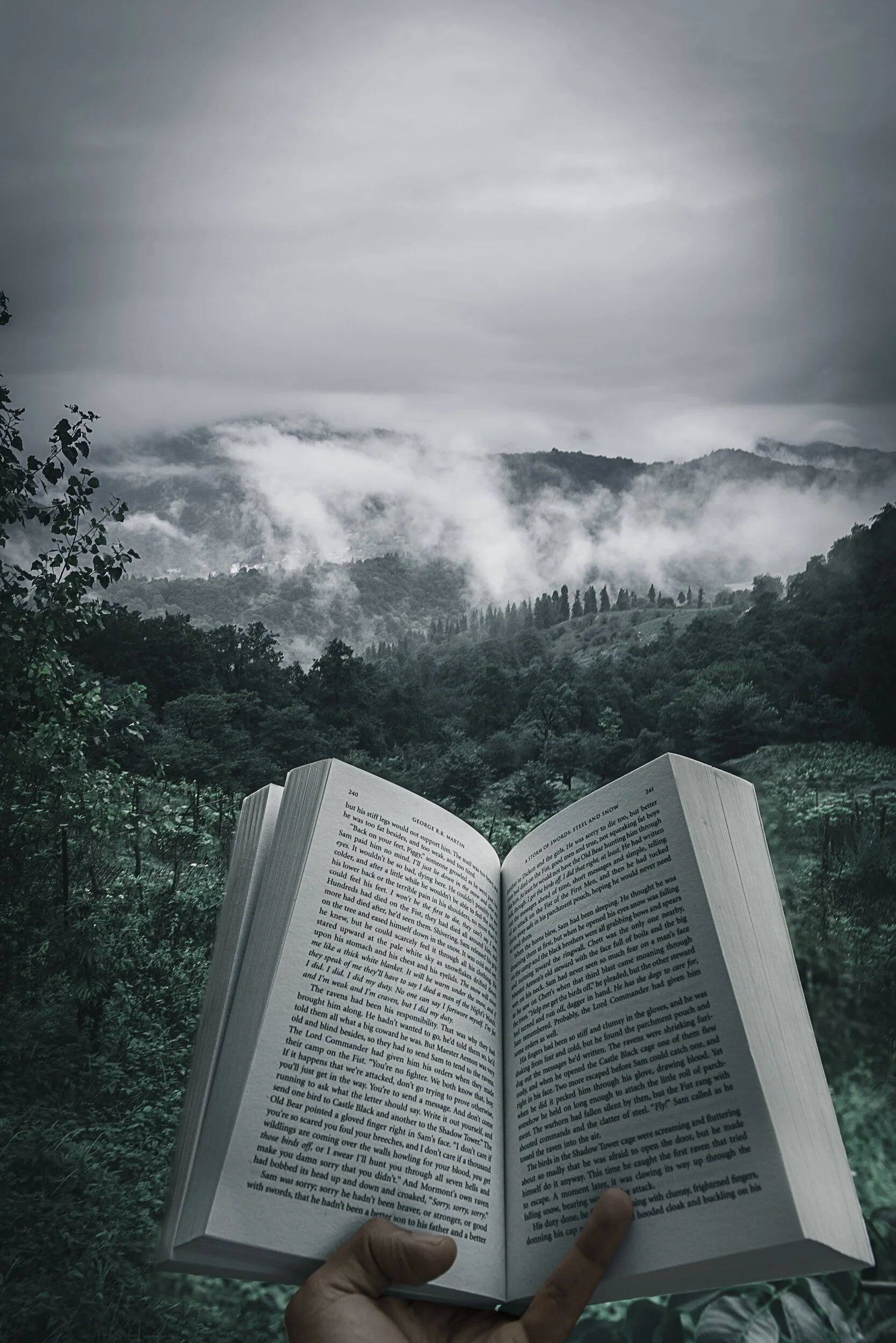 A person holding an open book in front of a scenic landscape with green hills, trees, and fog on a cloudy day.