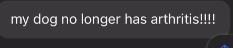 A screenshot of a text message saying, 'my dog no longer has arthritis!!!!'