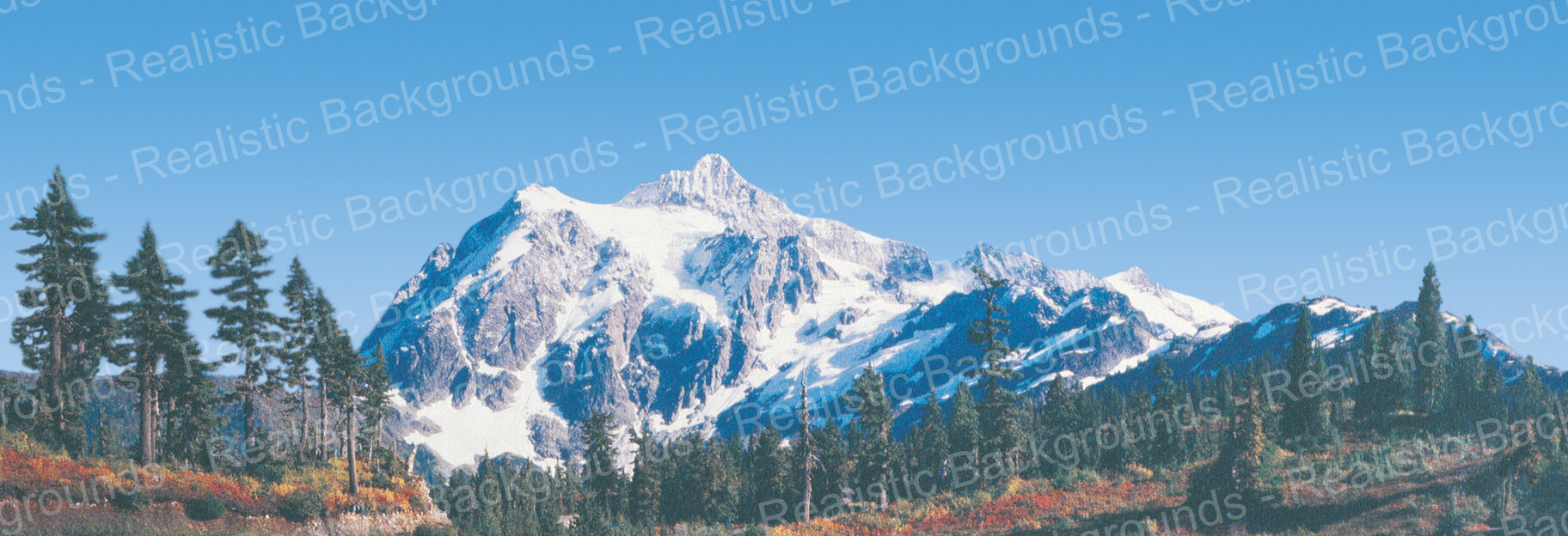 Realistic Backgrounds HO MOUNTAINS IN AUTUMN 14X38 Shipped Rolled Item 704-16 Left