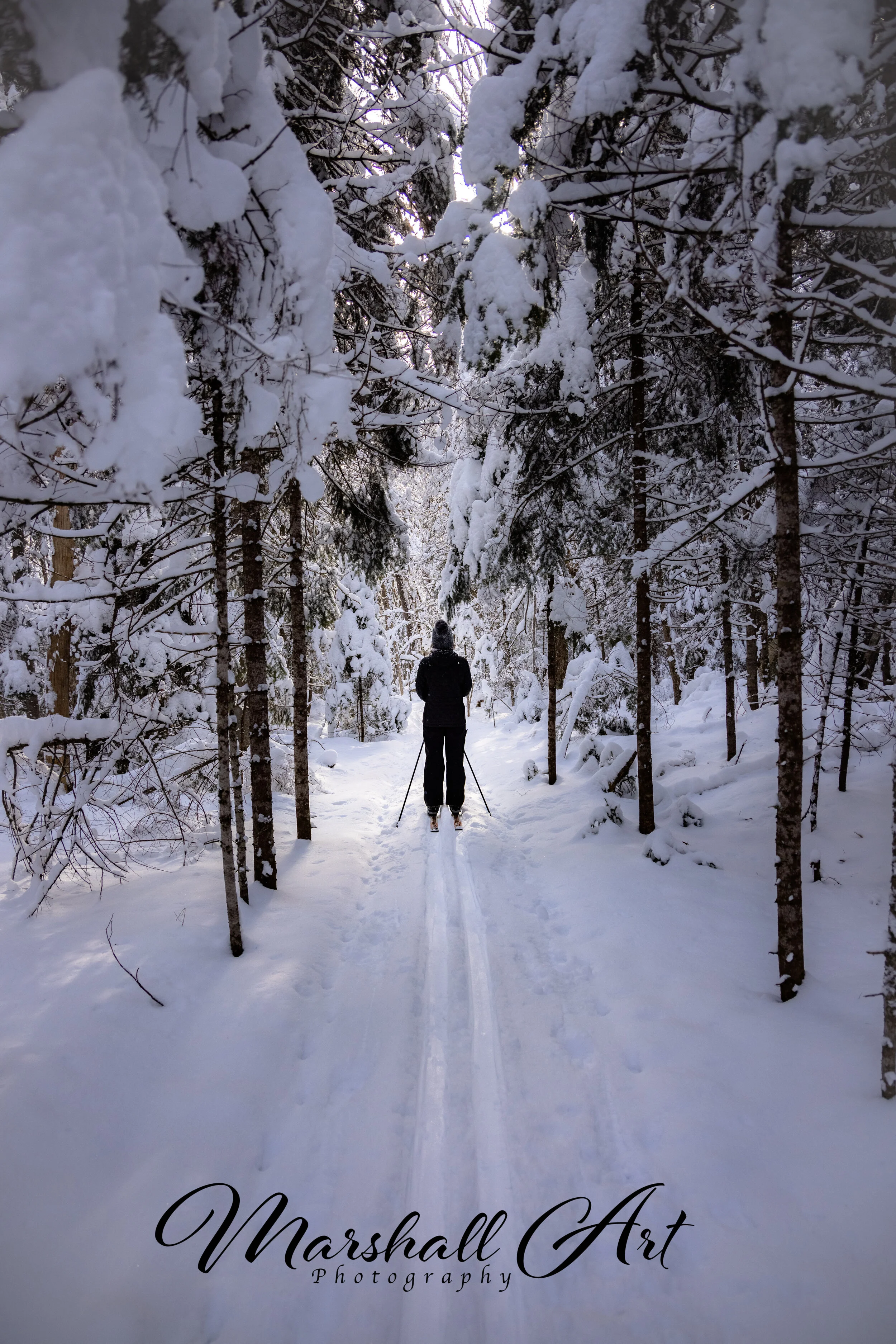 Mel Ski Bright-1 WM.jpg