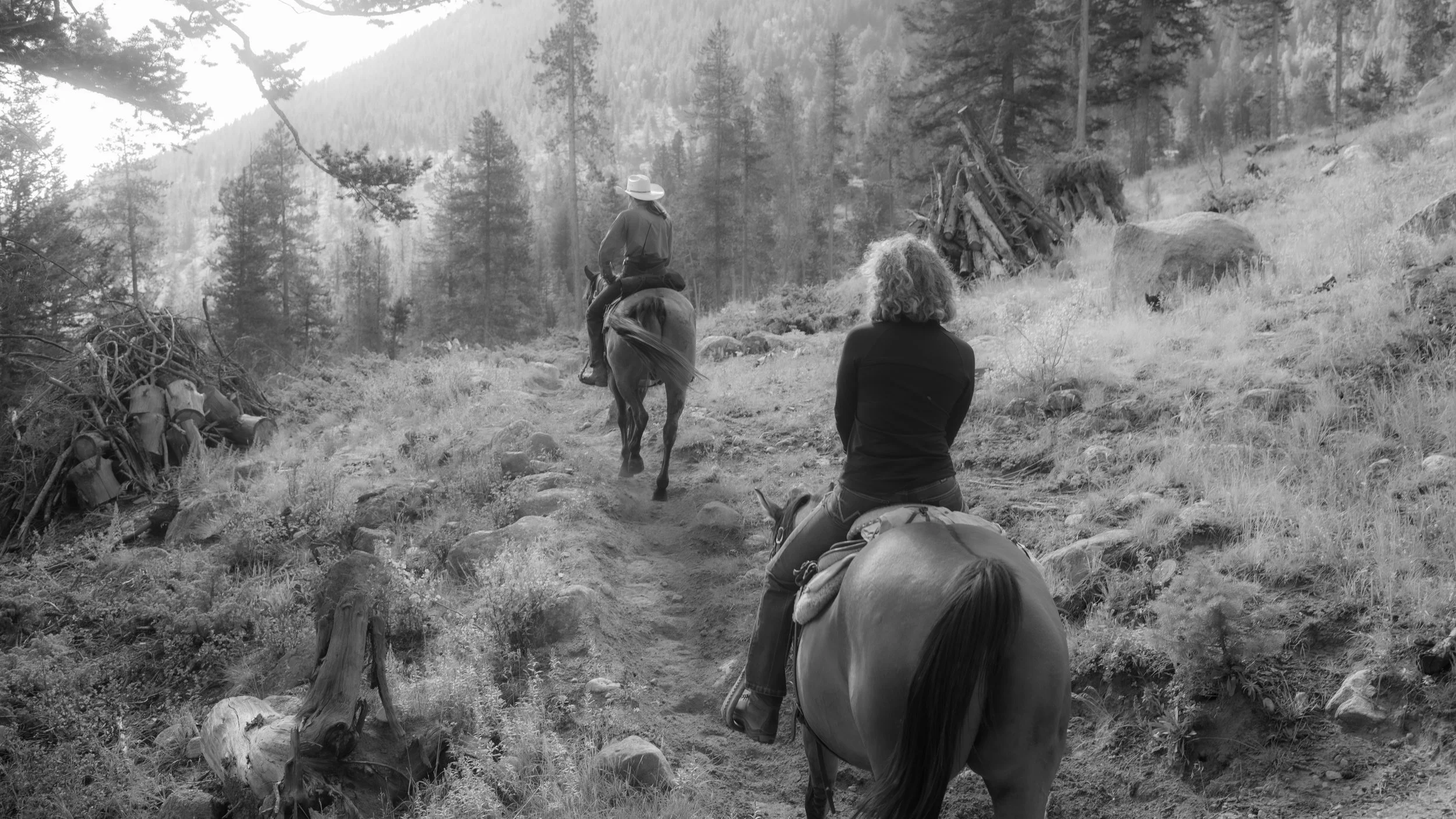Horseback Riding.jpg