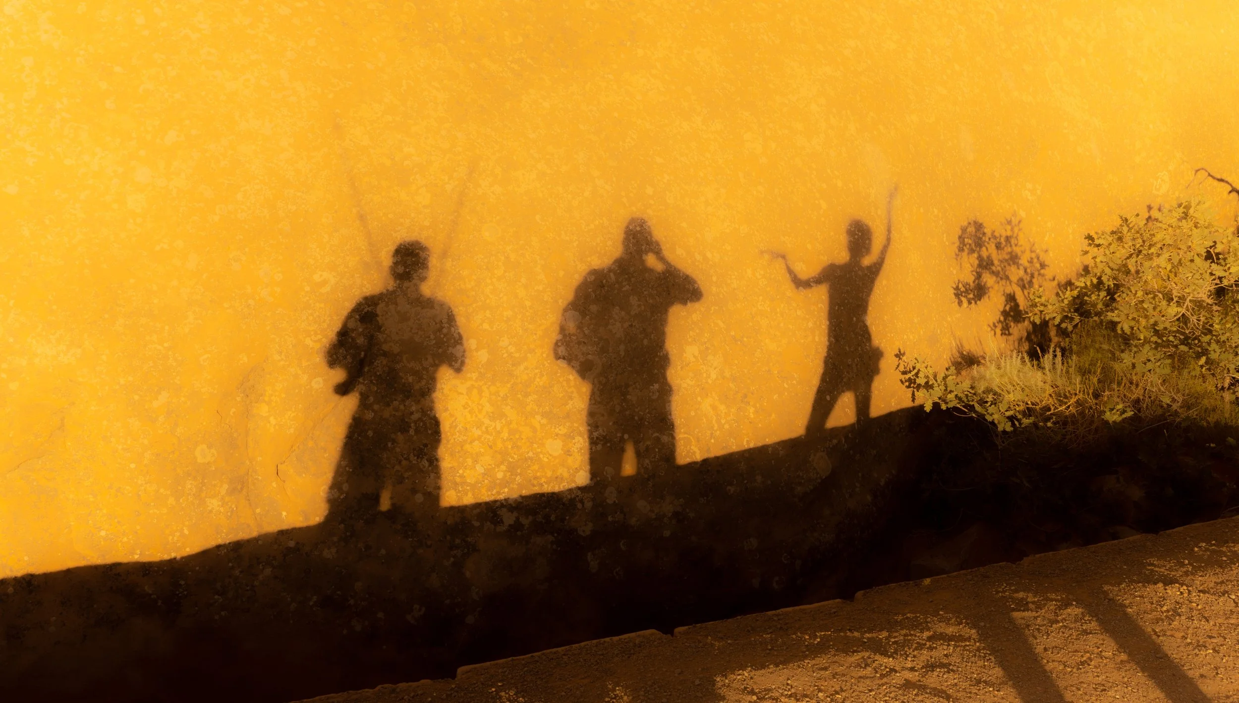 Shadow WallSmall.jpg