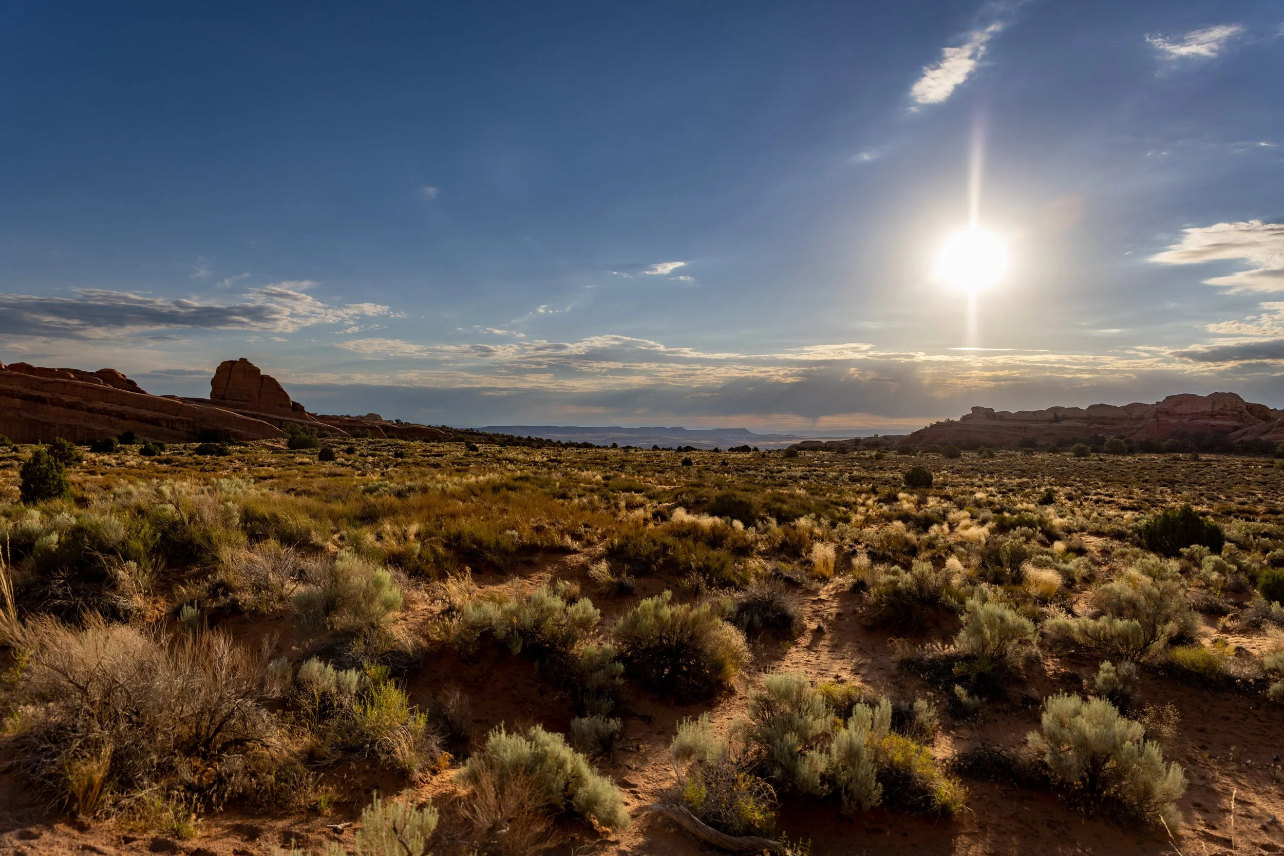 Arches Landscape Sunset FieldSmall.jpg
