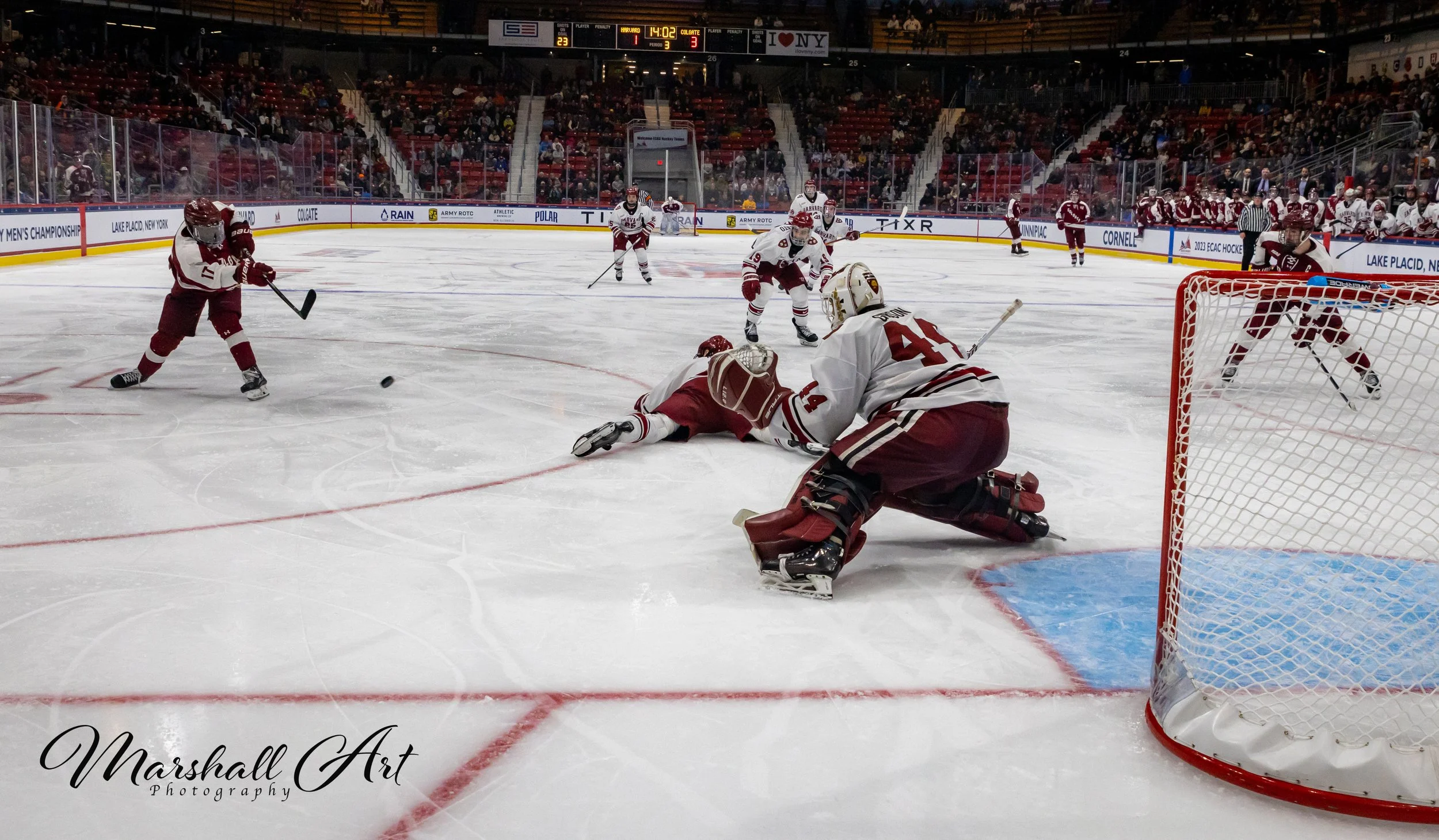 WM Shot on Harvard.jpg