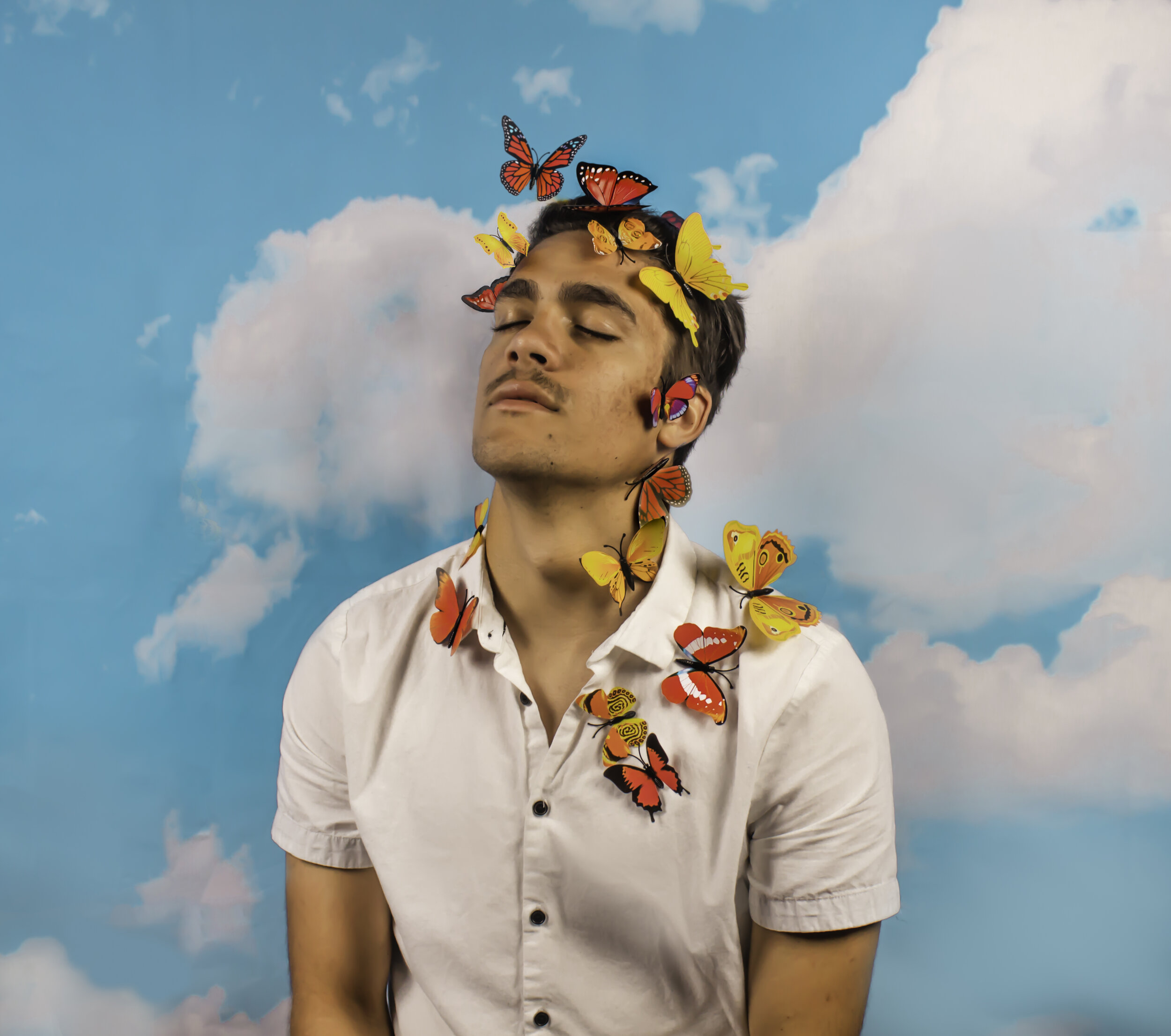 album butterfly final.jpg