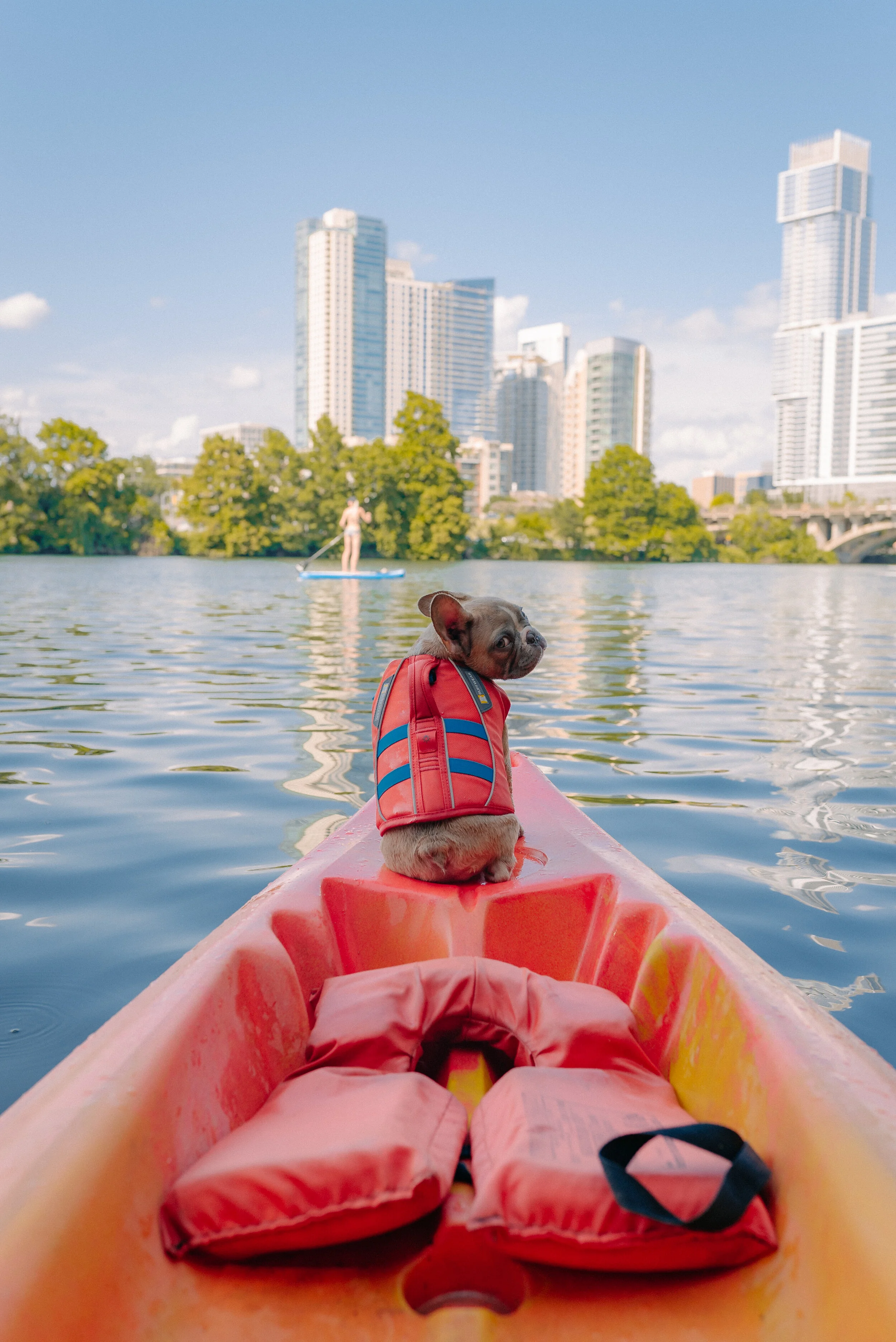 A small dog wearing a life jacket sitting on the front of a red kayak on a calm body of water with a city skyline and a paddleboarder in the background.