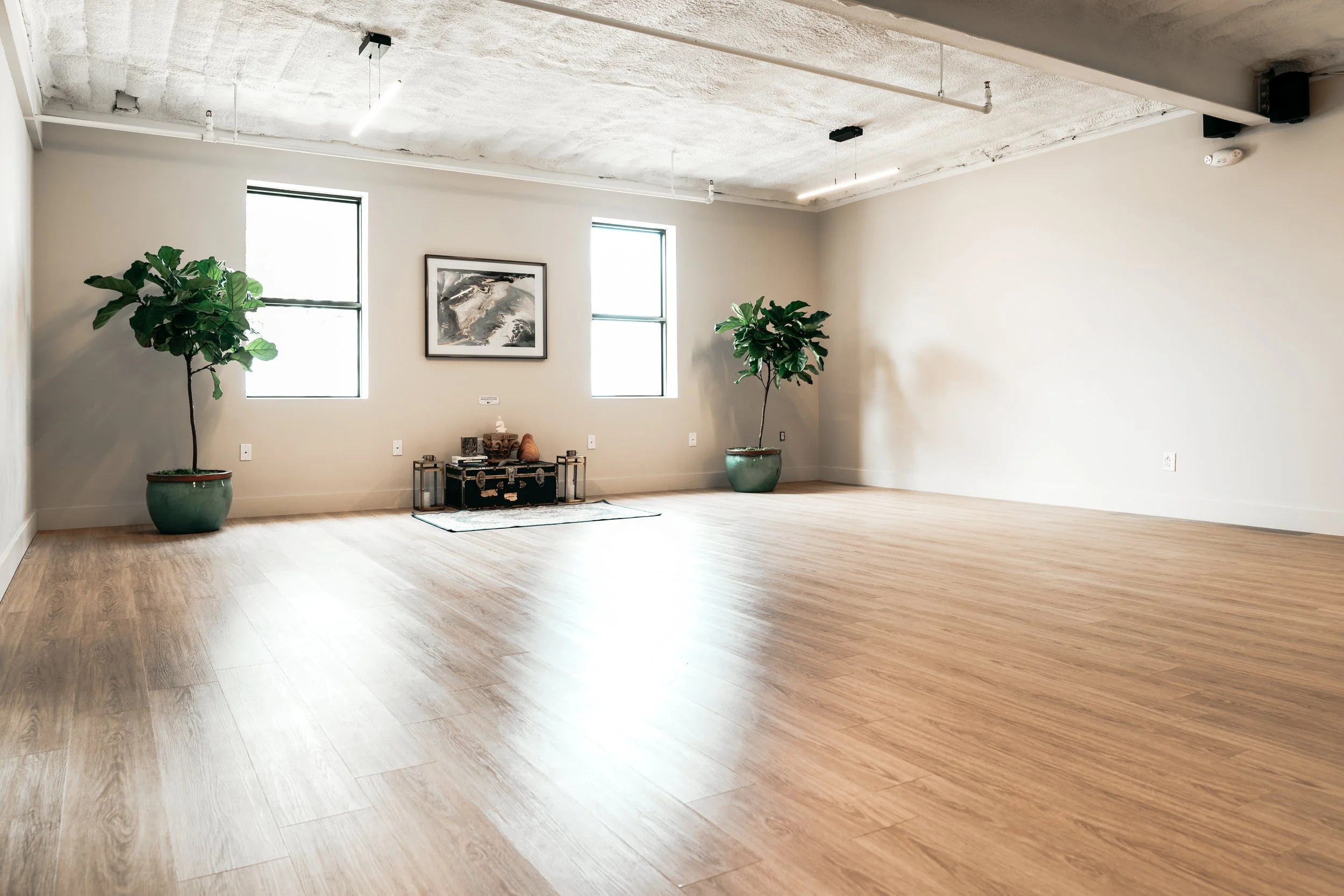 Empty room with two large potted plants, two windows, a framed picture, and a small decorative setup on the floor.