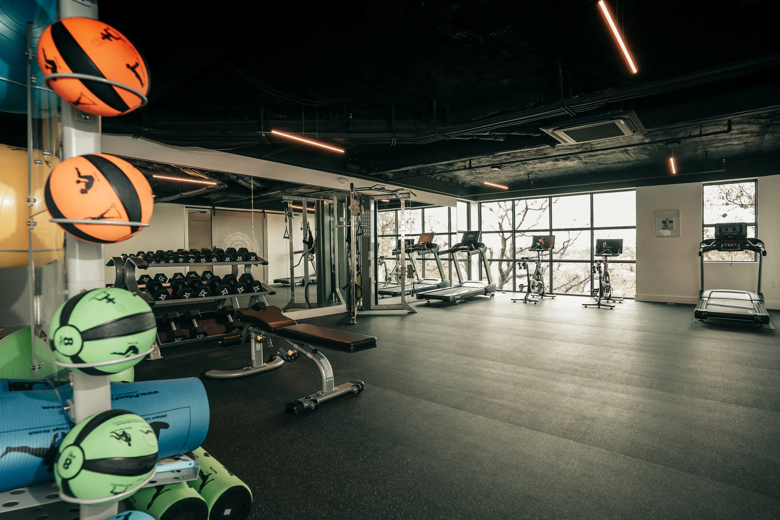 Empty modern gym with large windows, featuring treadmills, stationary bikes, dumbbells, and medicine balls organized on racks.