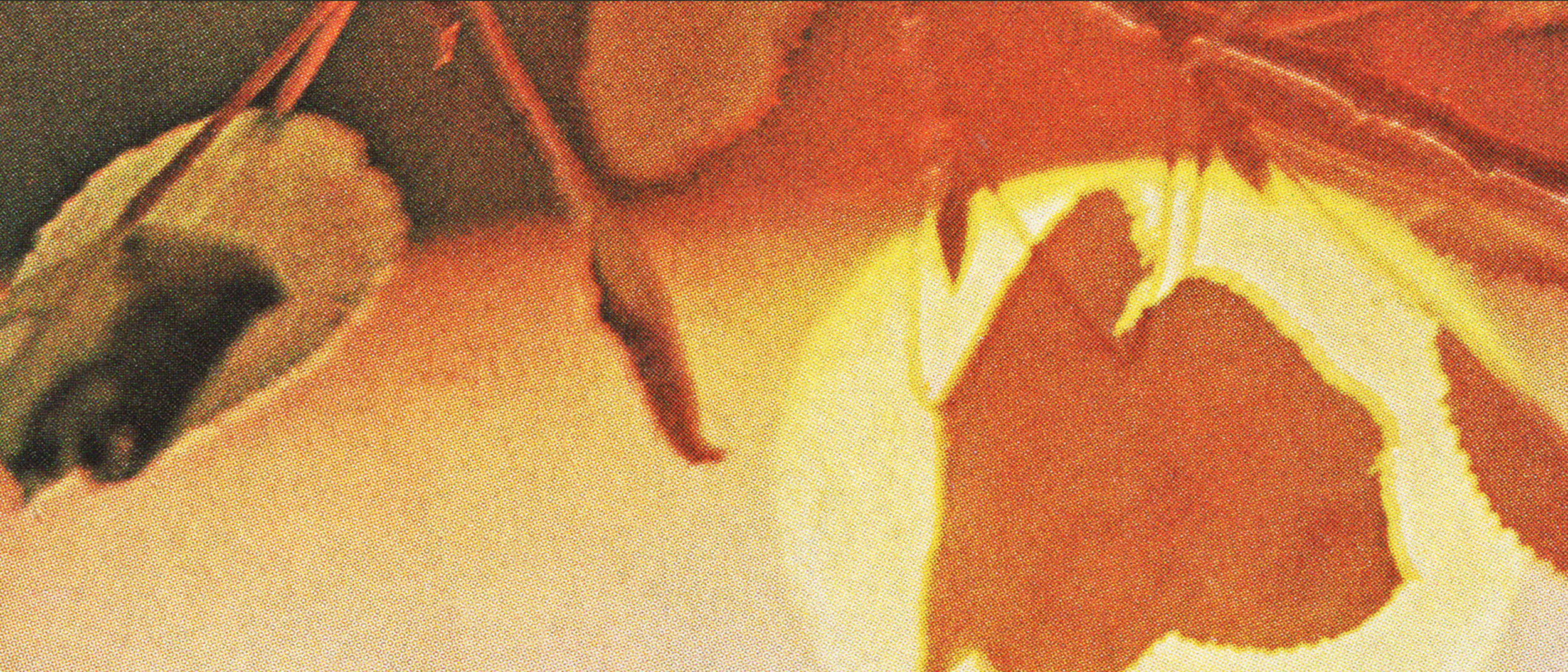 yonderling-last-light-banner.png