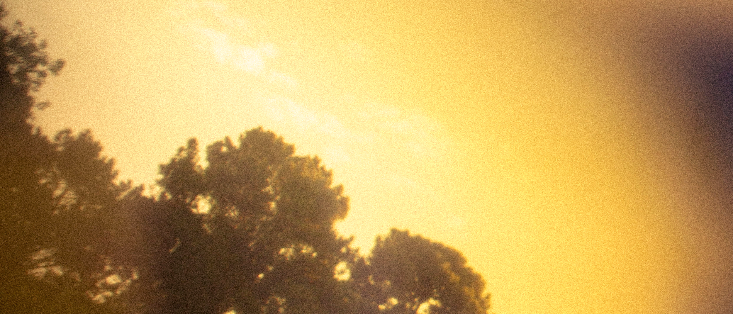 yonderling-golden-gardens.png