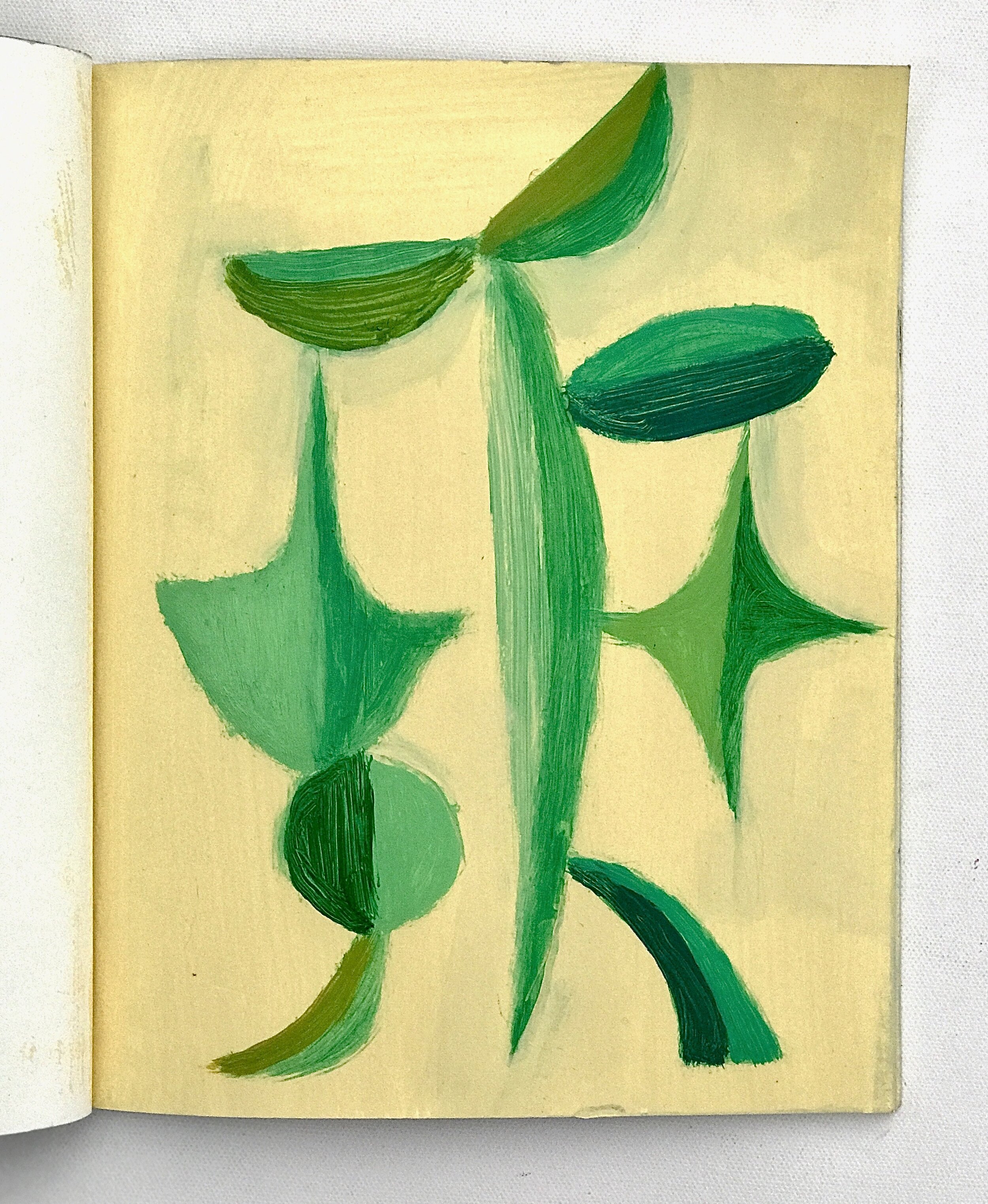 Spring