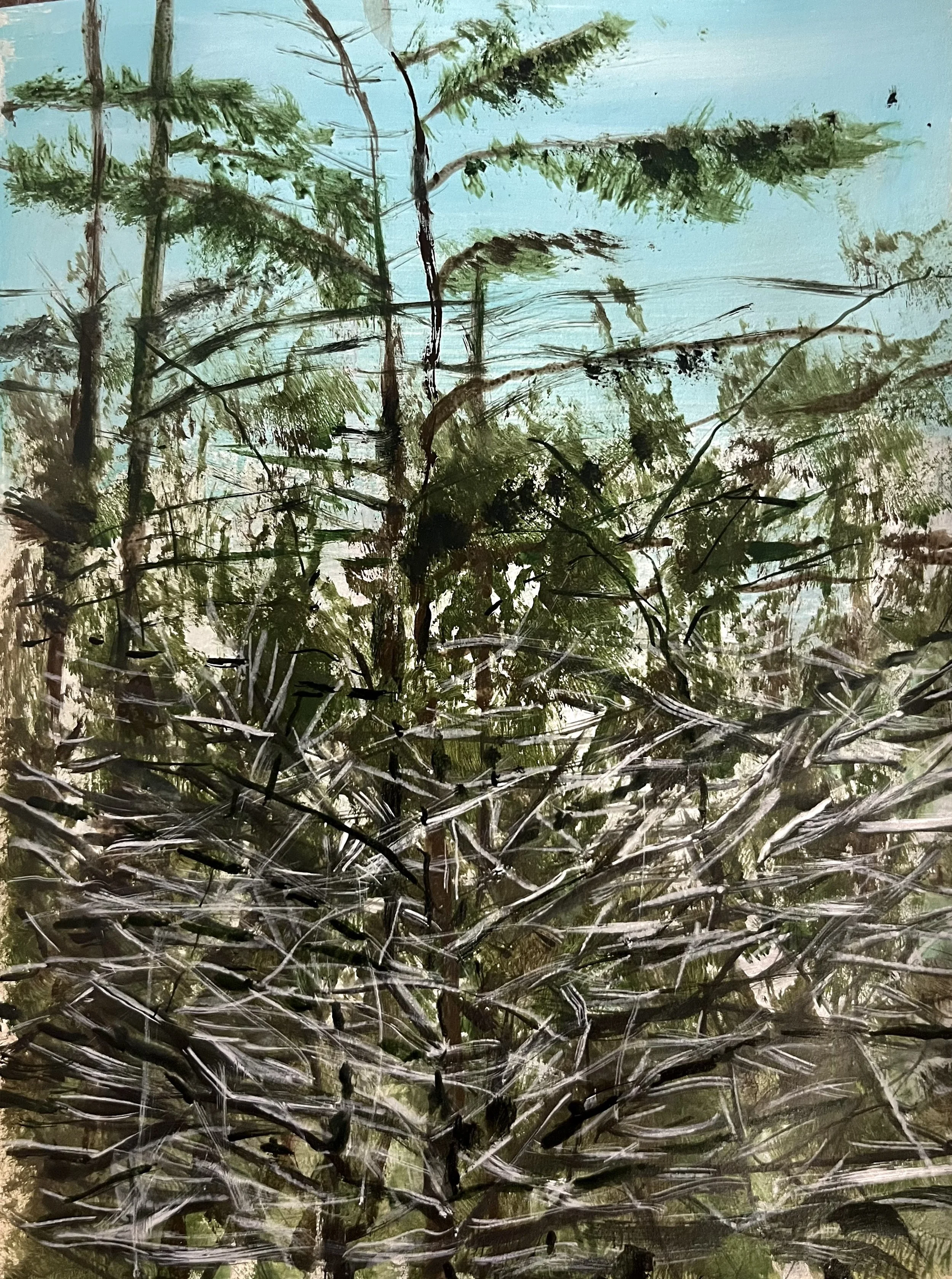 Snow On The Apple Trees, New Years Eve 