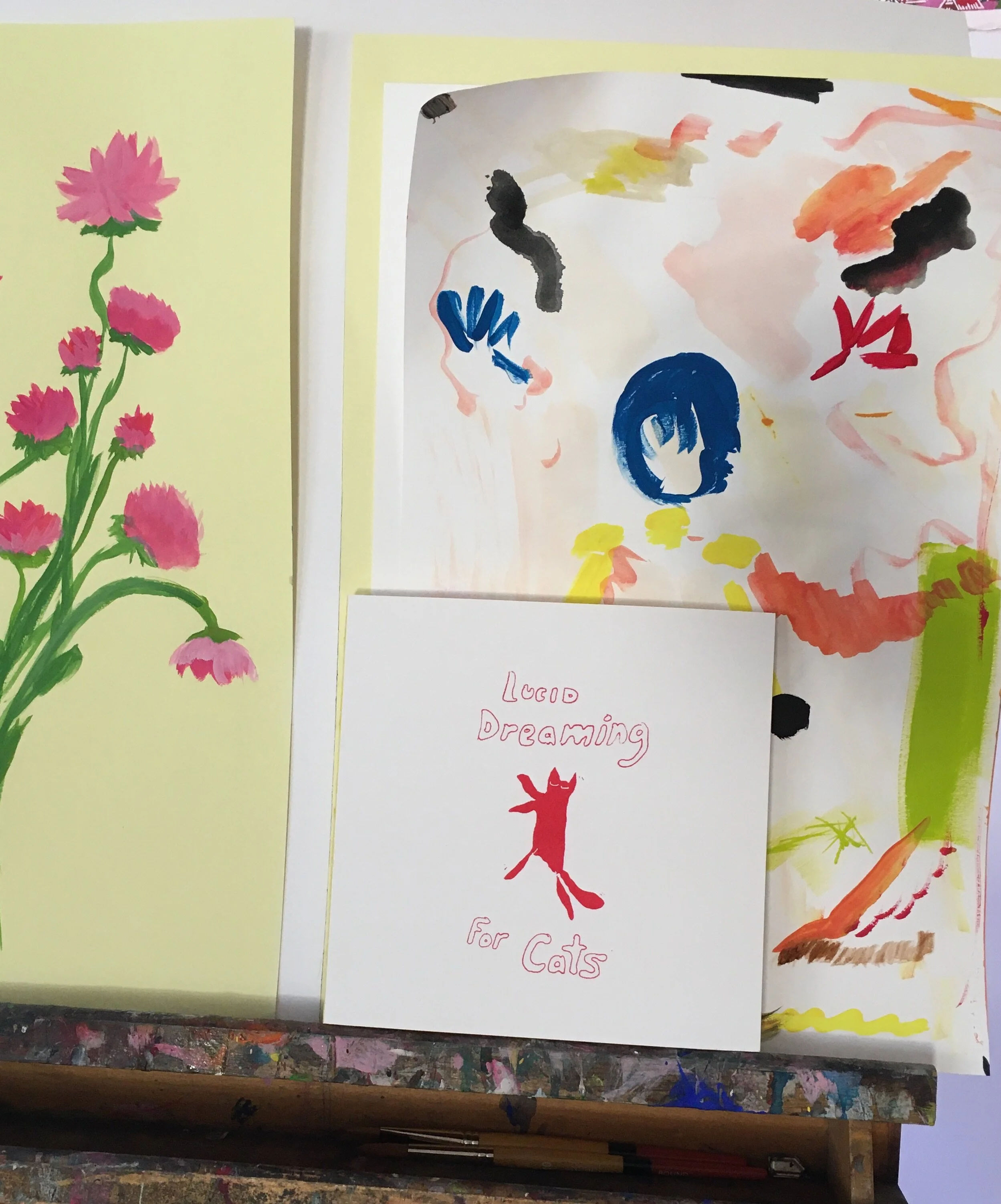 Lucid dreaming for cats red.JPG