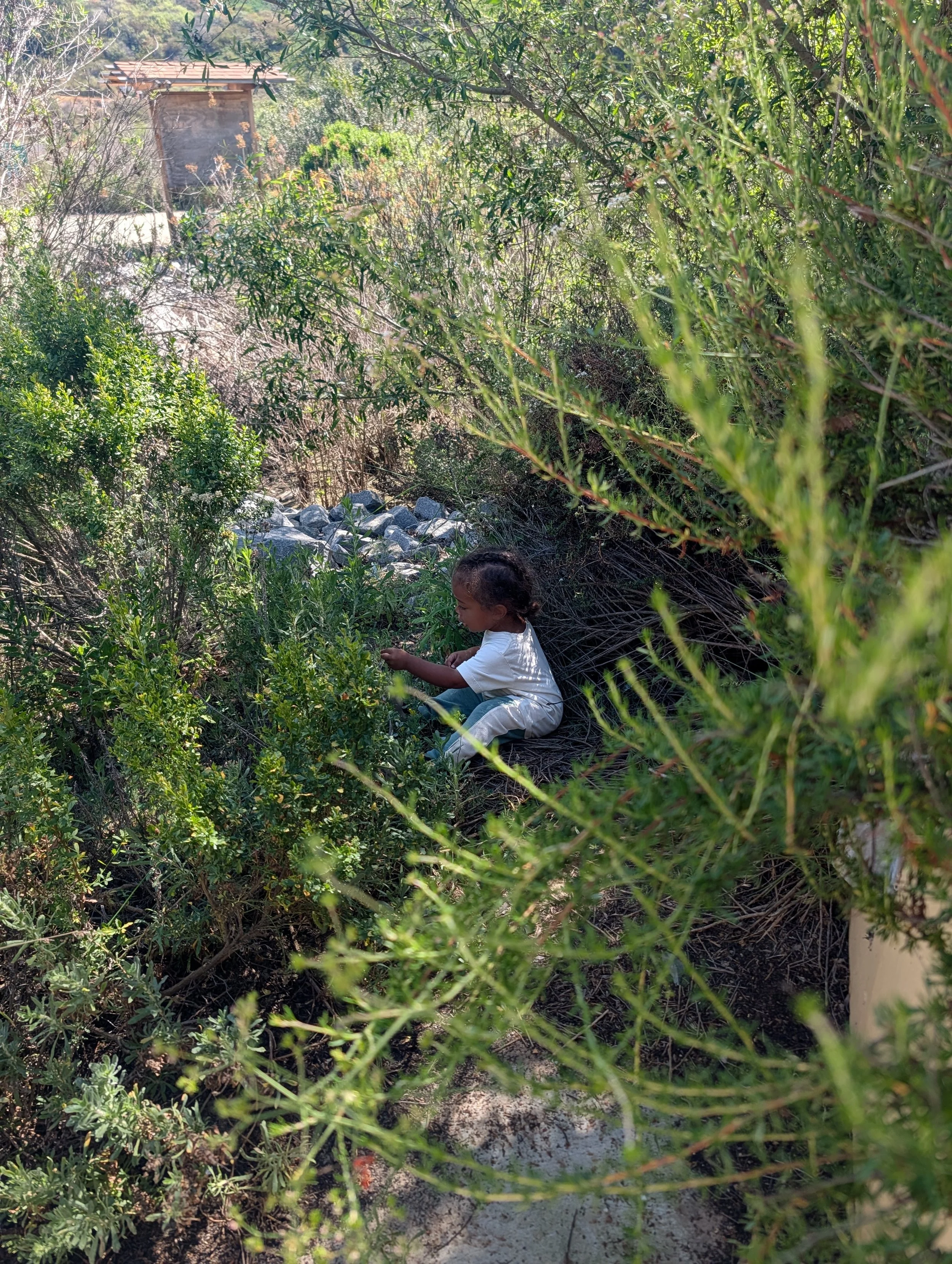 Little child sitting among natural shrubs and bushes beside rocks playing with leaves and sticks