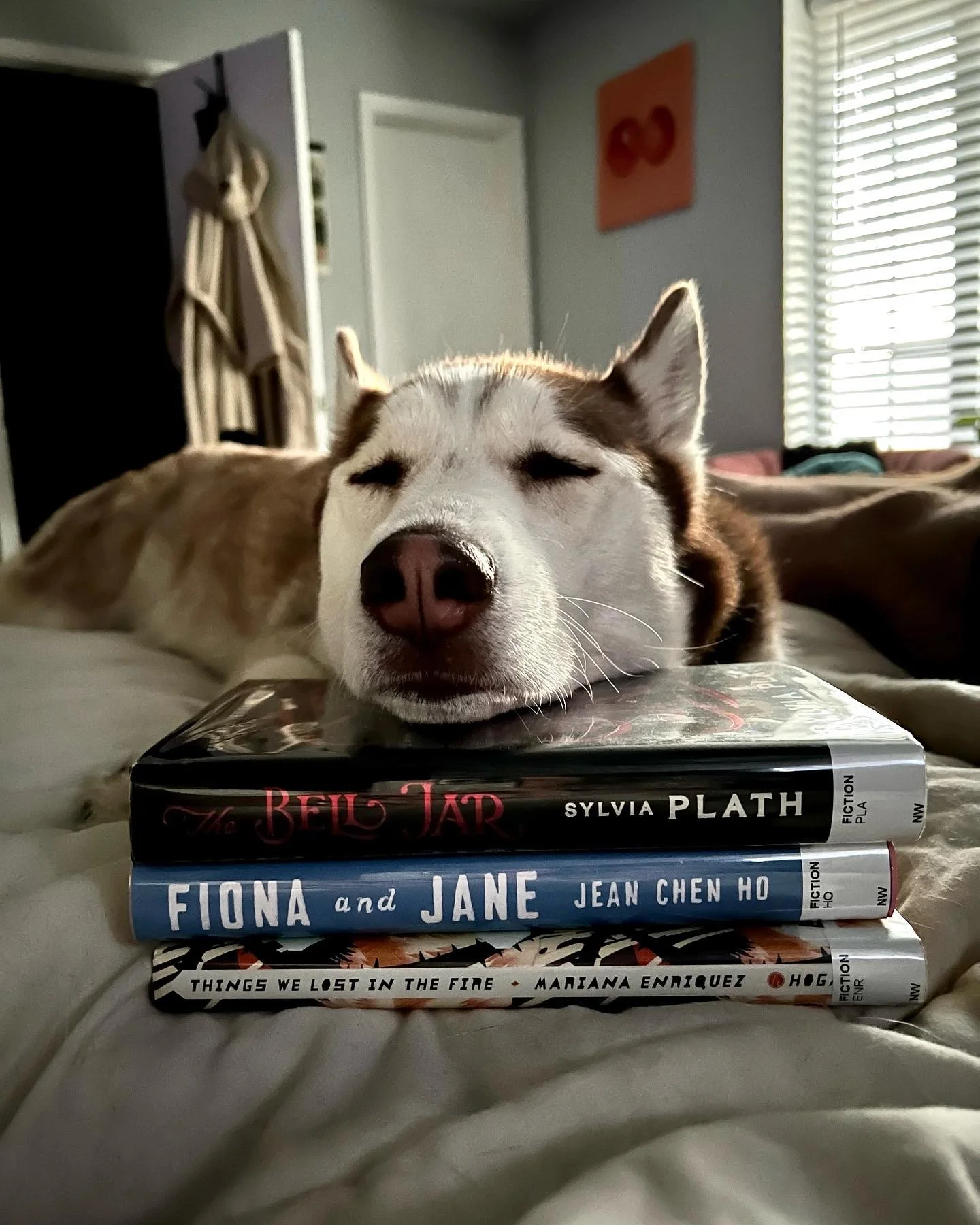 2022 Book Challenge