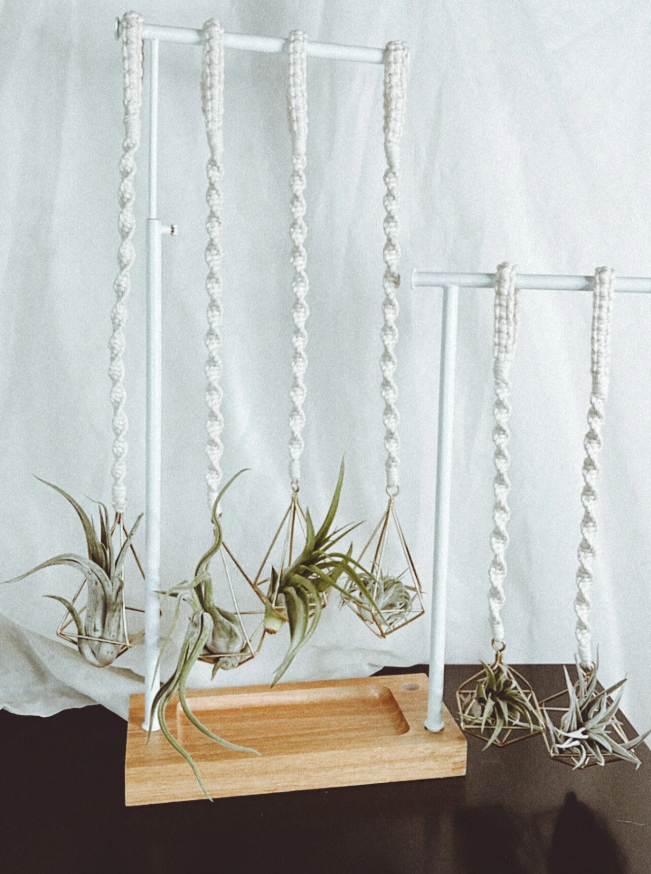 6B6D944F-F896-49BE-8A88-BAF628443B3E